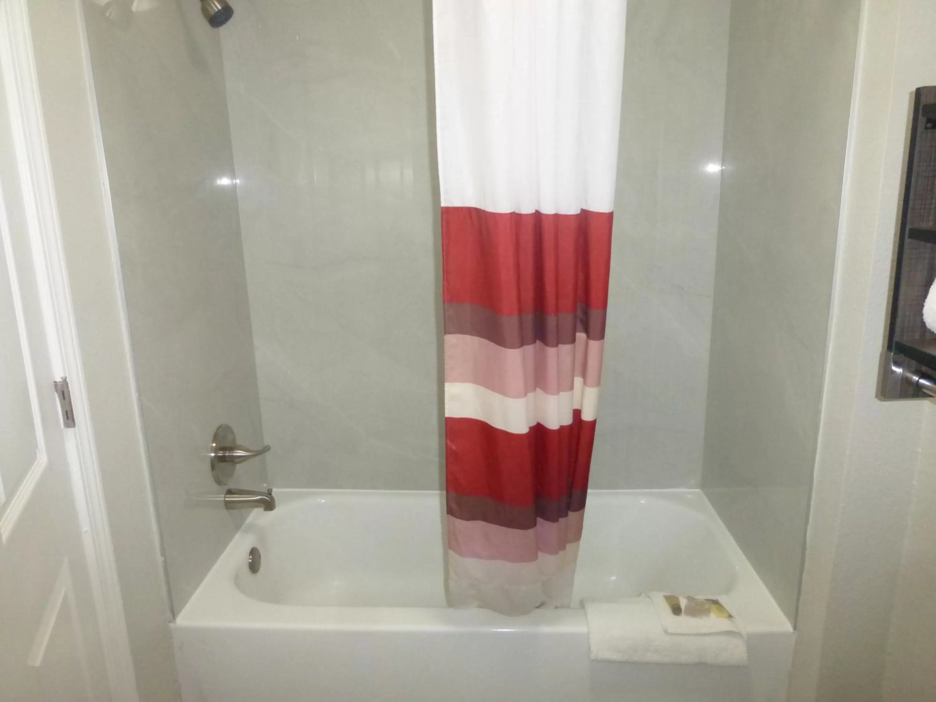 Business King Room Smoking in Red Roof Inn & Suites Mobile SW - I-10