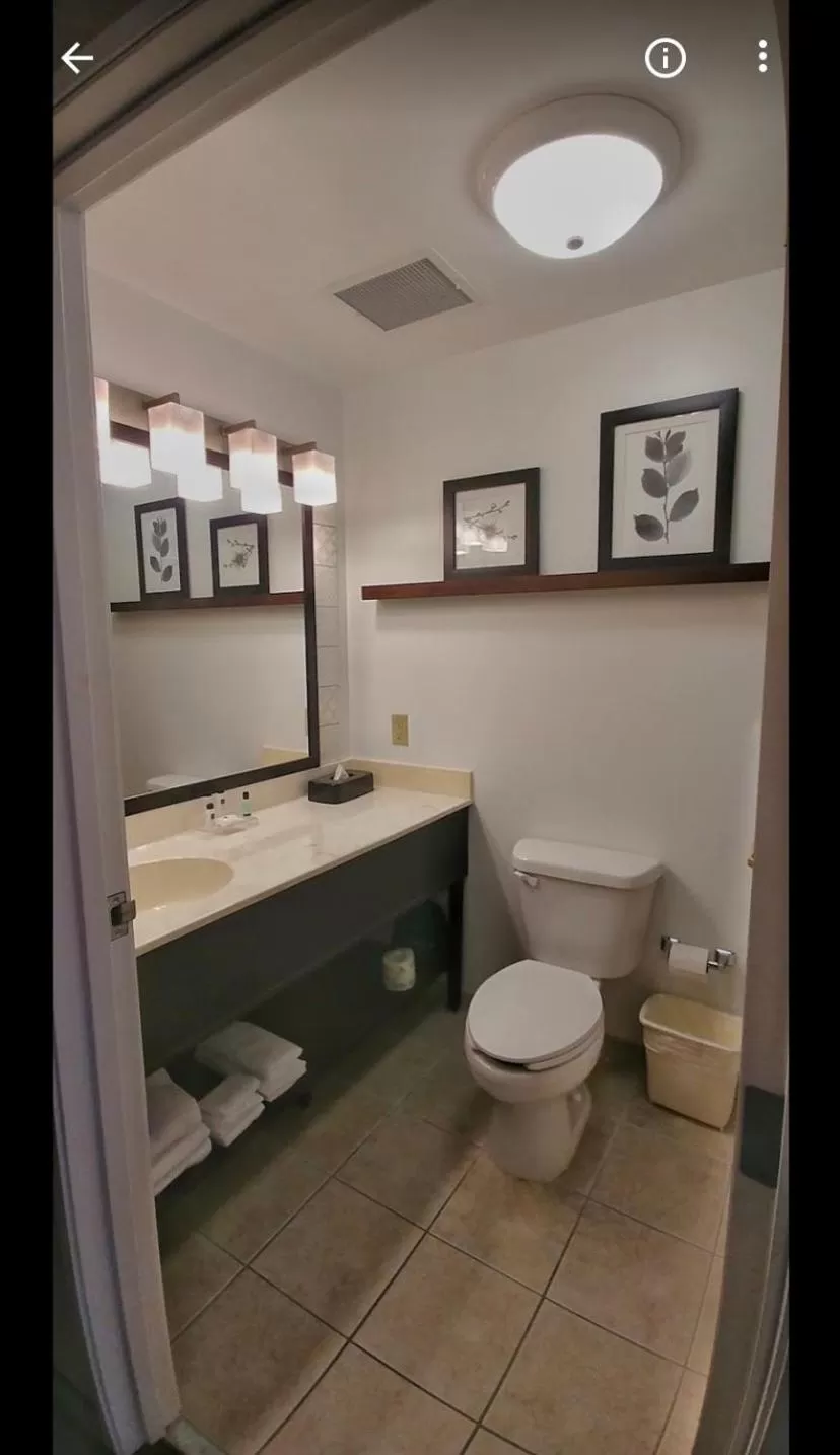 King Studio with Sofa Bed - Non-Smoking in Country Inn & Suites by Radisson, Chambersburg, PA