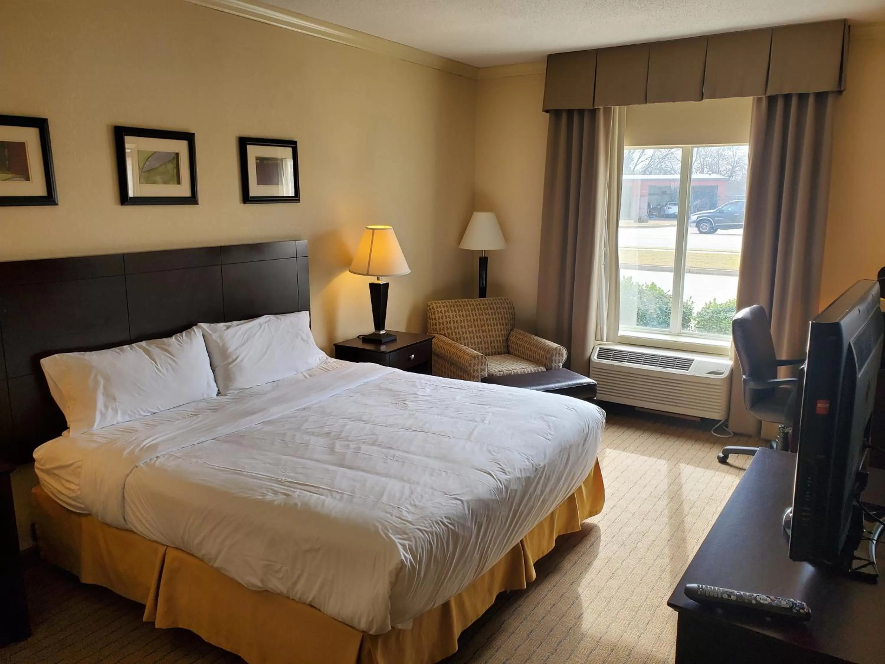 Single Room - single occupancy - Disability Access in The Arc Hotel