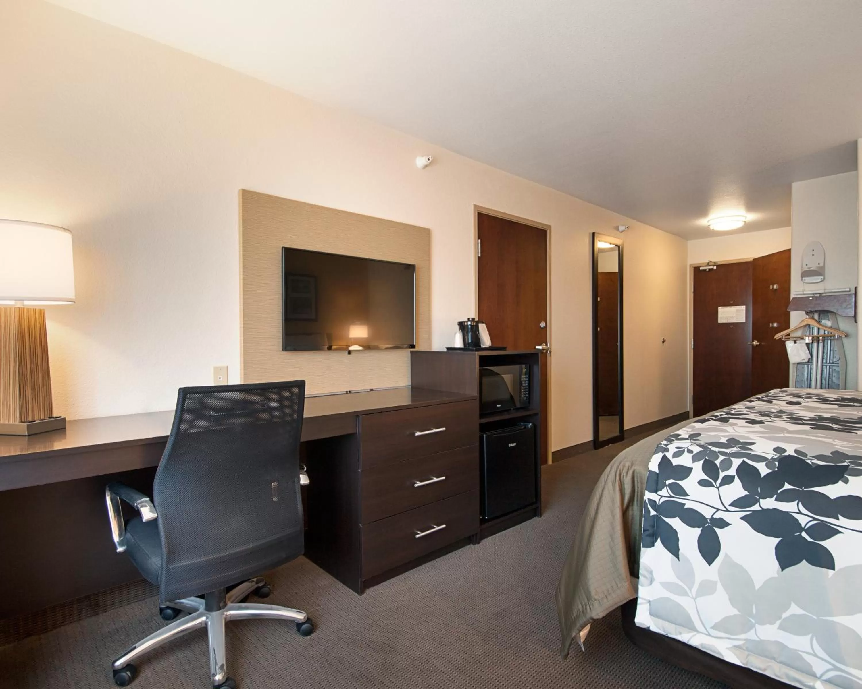 King Room with Roll-In Shower - Accessible/Non-Smoking in Sleep Inn & Suites Carlsbad Caverns Area