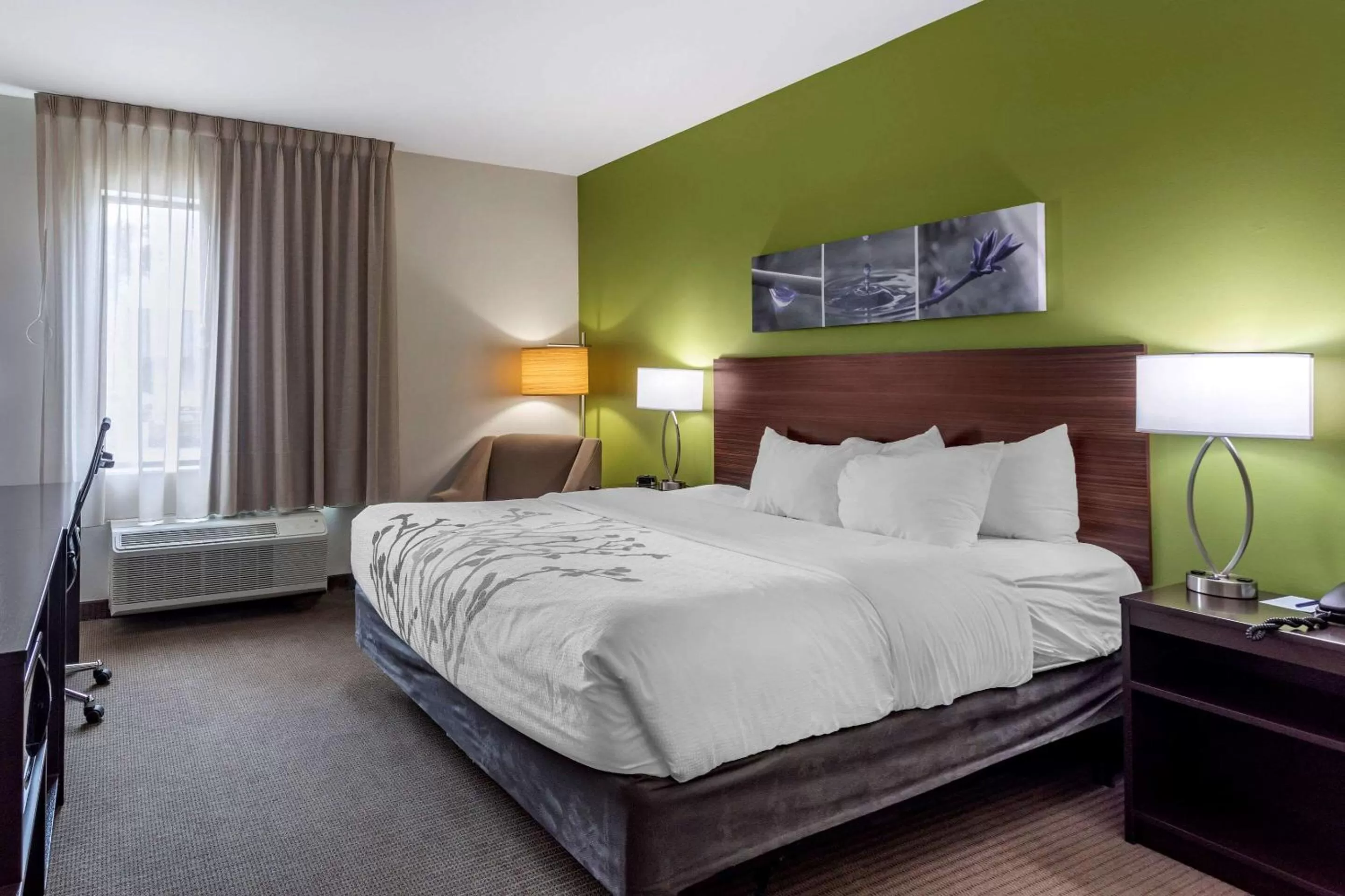 King Room - Accessible/Non-Smoking in Sleep Inn Bowling Green North