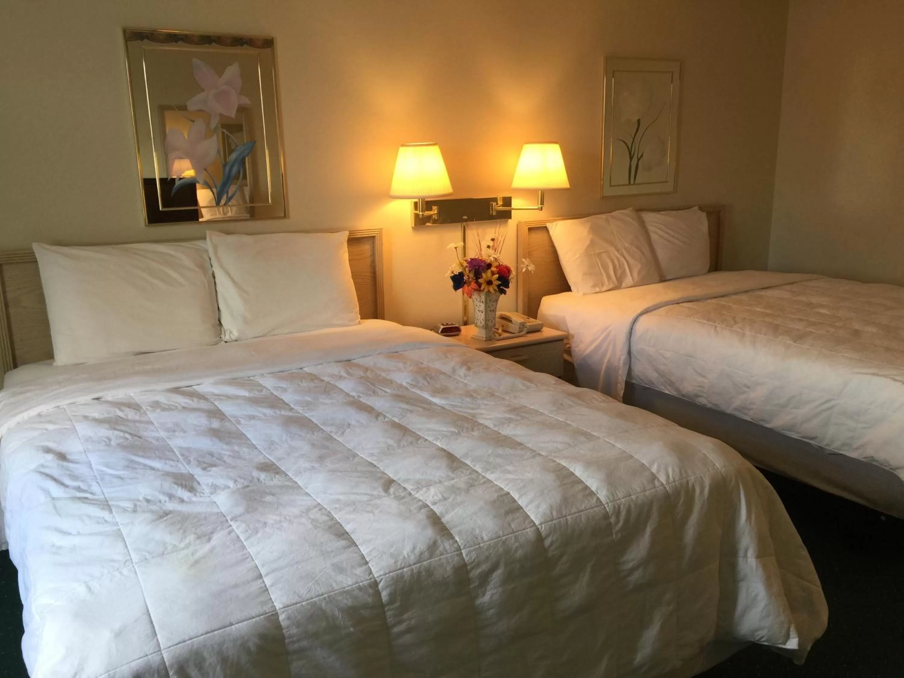 Queen Room in Americas Best Value Inn & Suites - Bluffton
