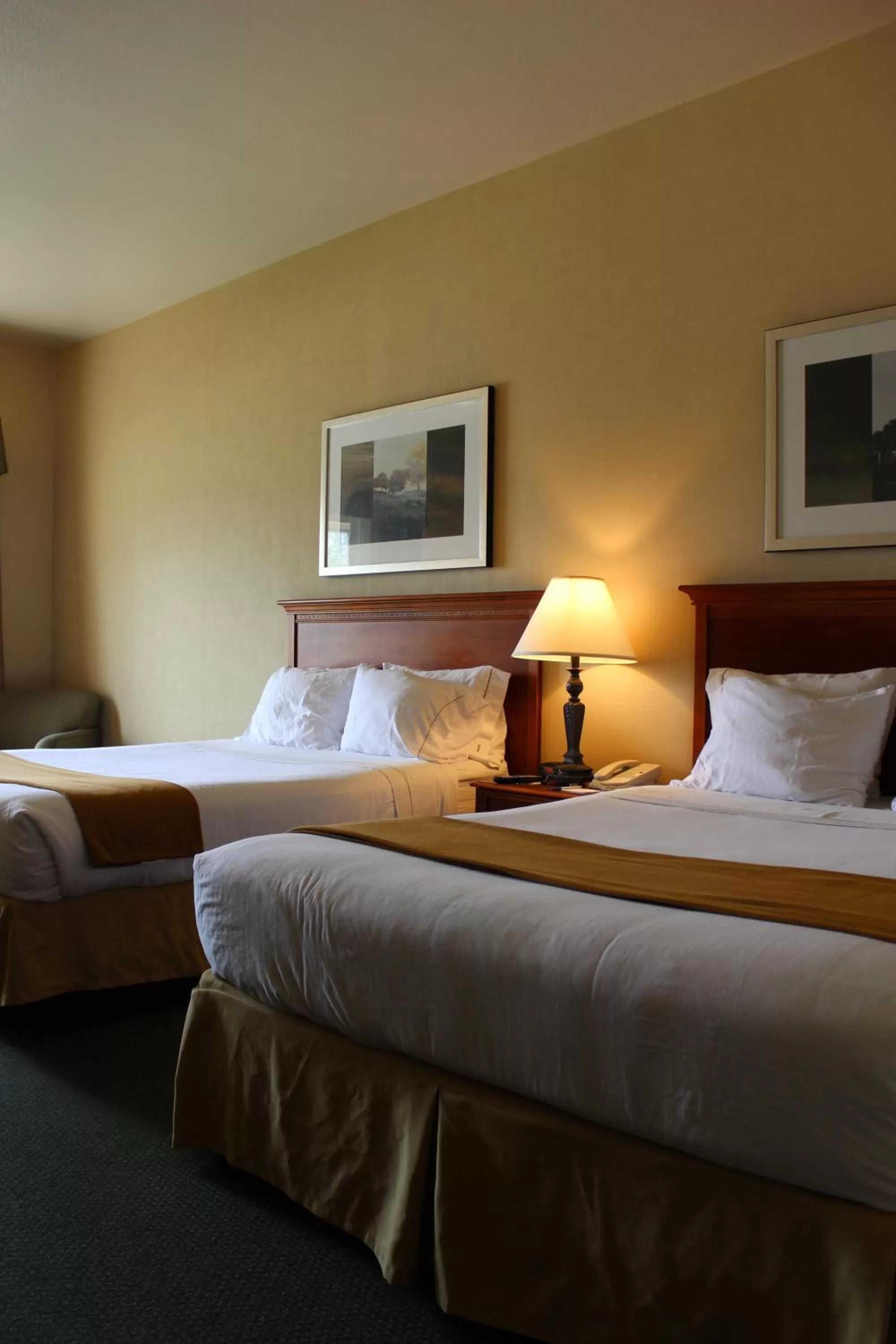 Standard Room with Two Queen Beds in Holiday Inn Express Tehachapi by IHG