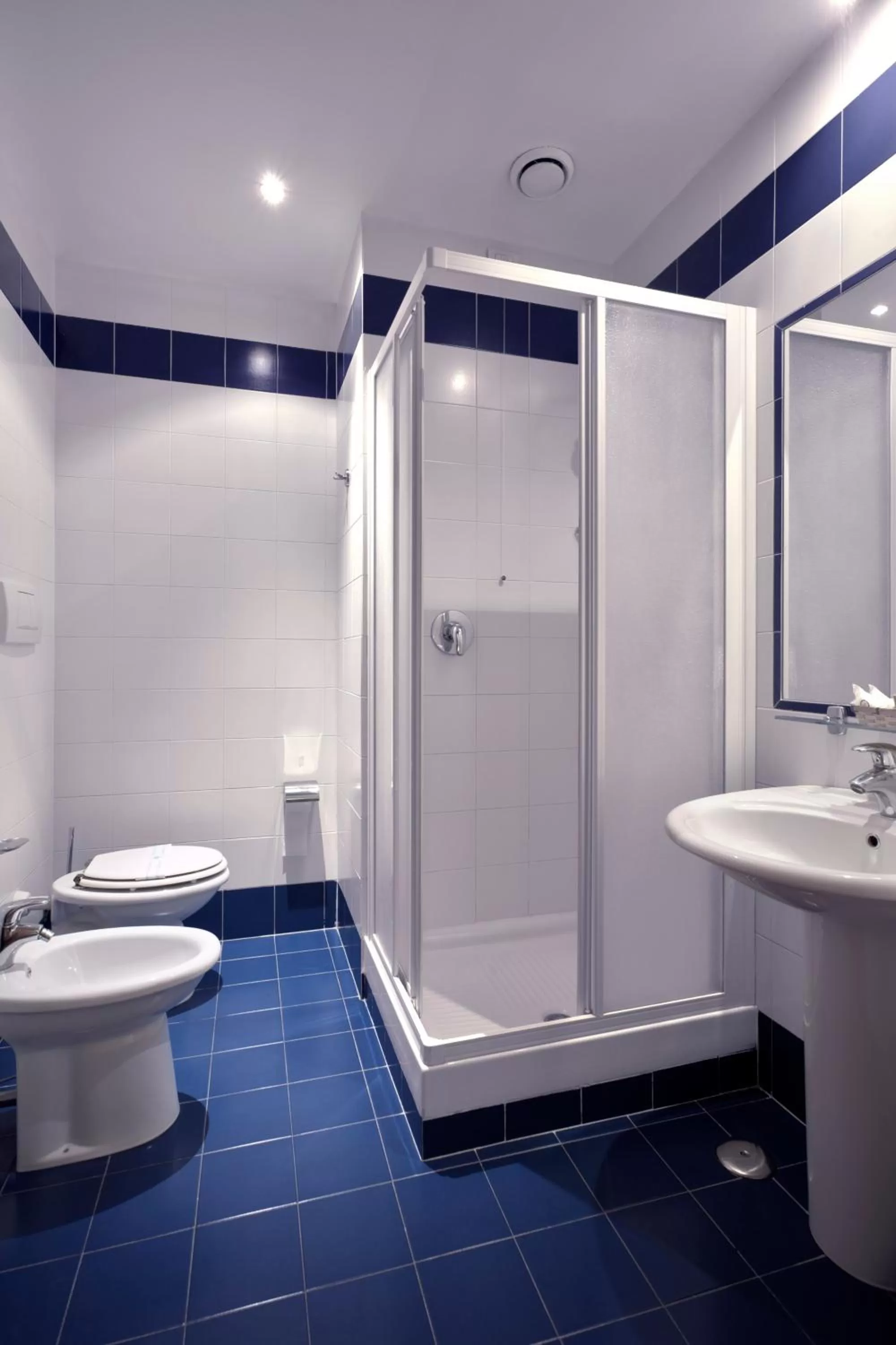 Standard Double Room in Hotel Fortuna