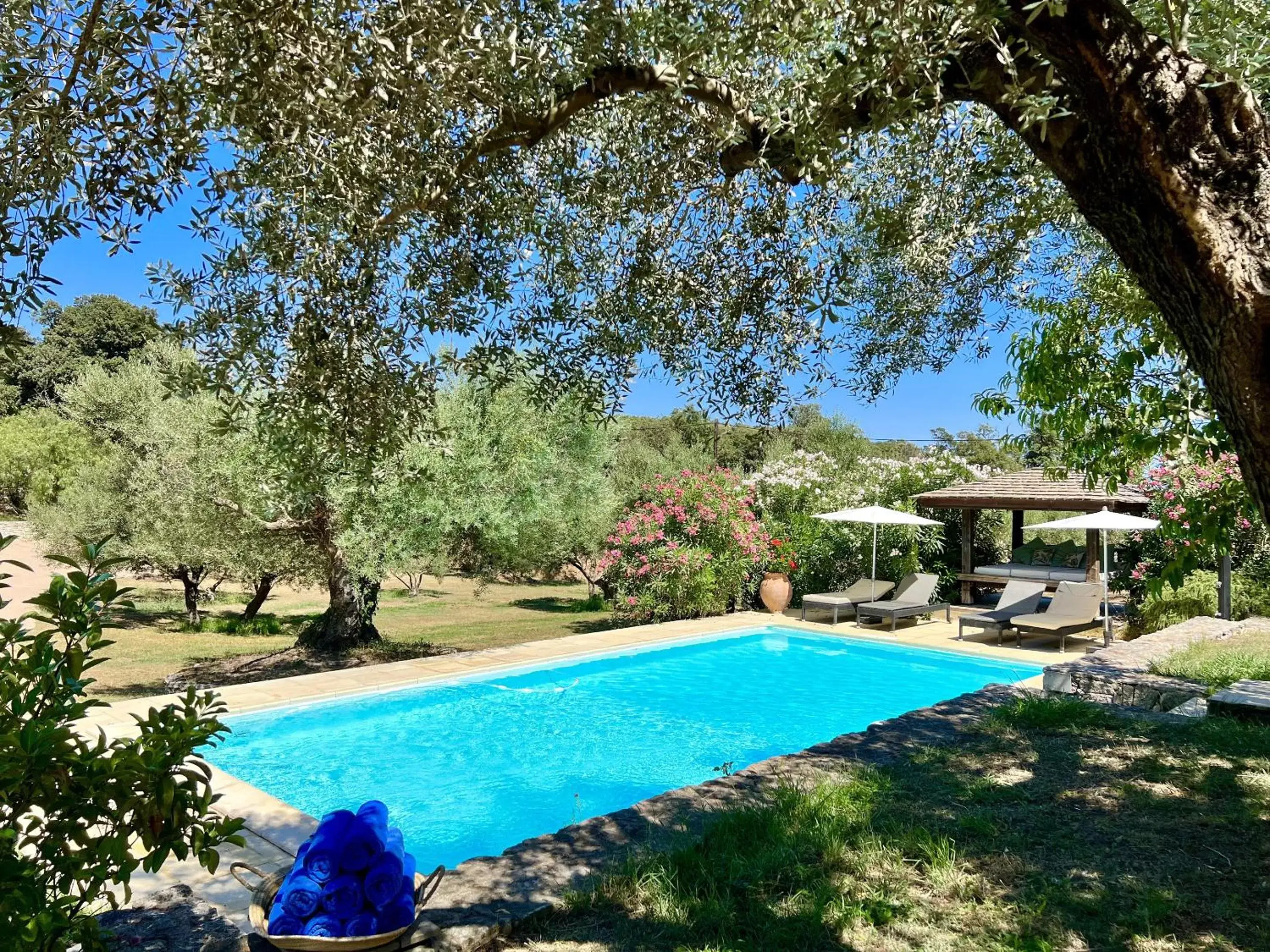 Nature & Design Nature & Design