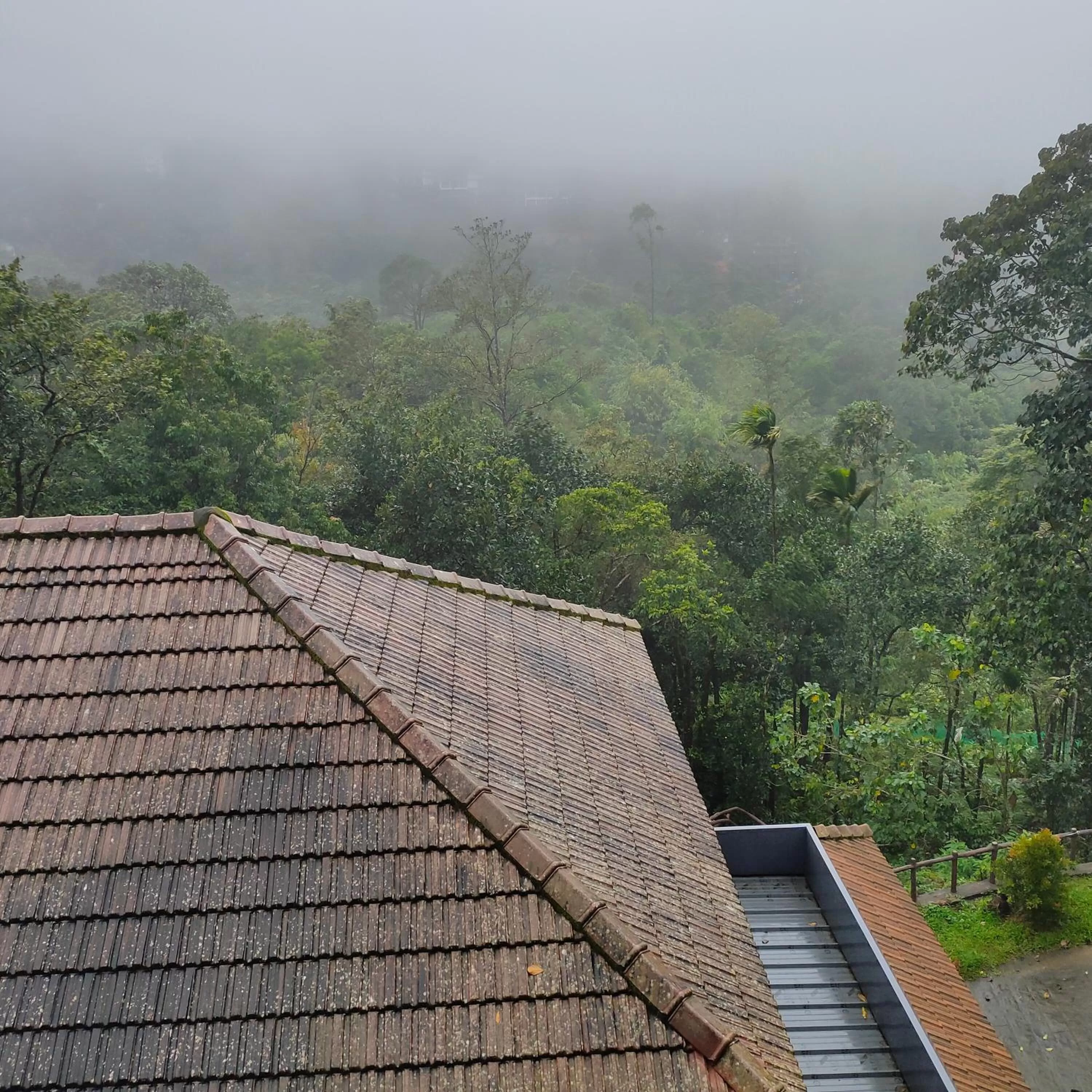 Family Suite with Balcony - single occupancy in The Wild Trails Munnar Resort