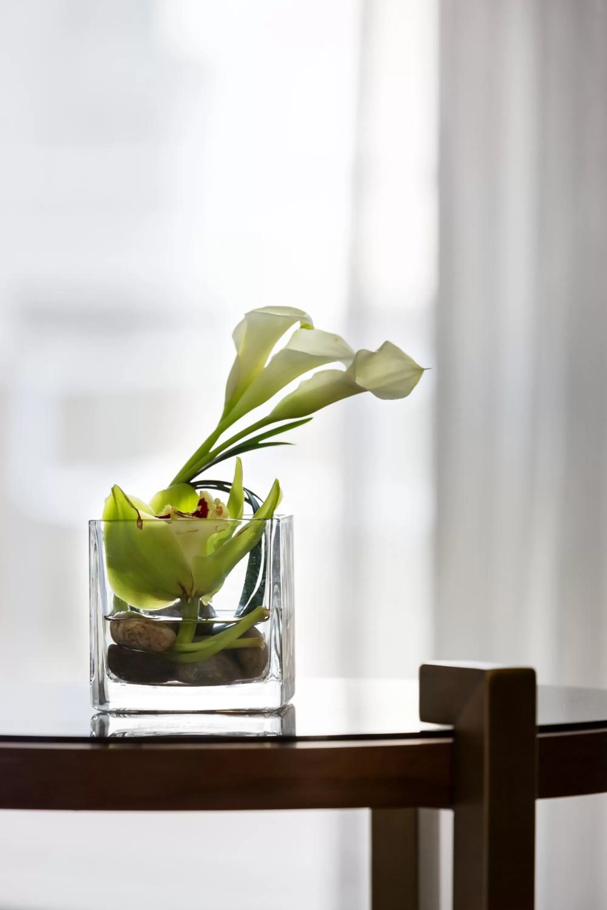 Queen Room with Two Queen Beds - High Floor in Hyatt Regency Bethesda near Washington D.C.