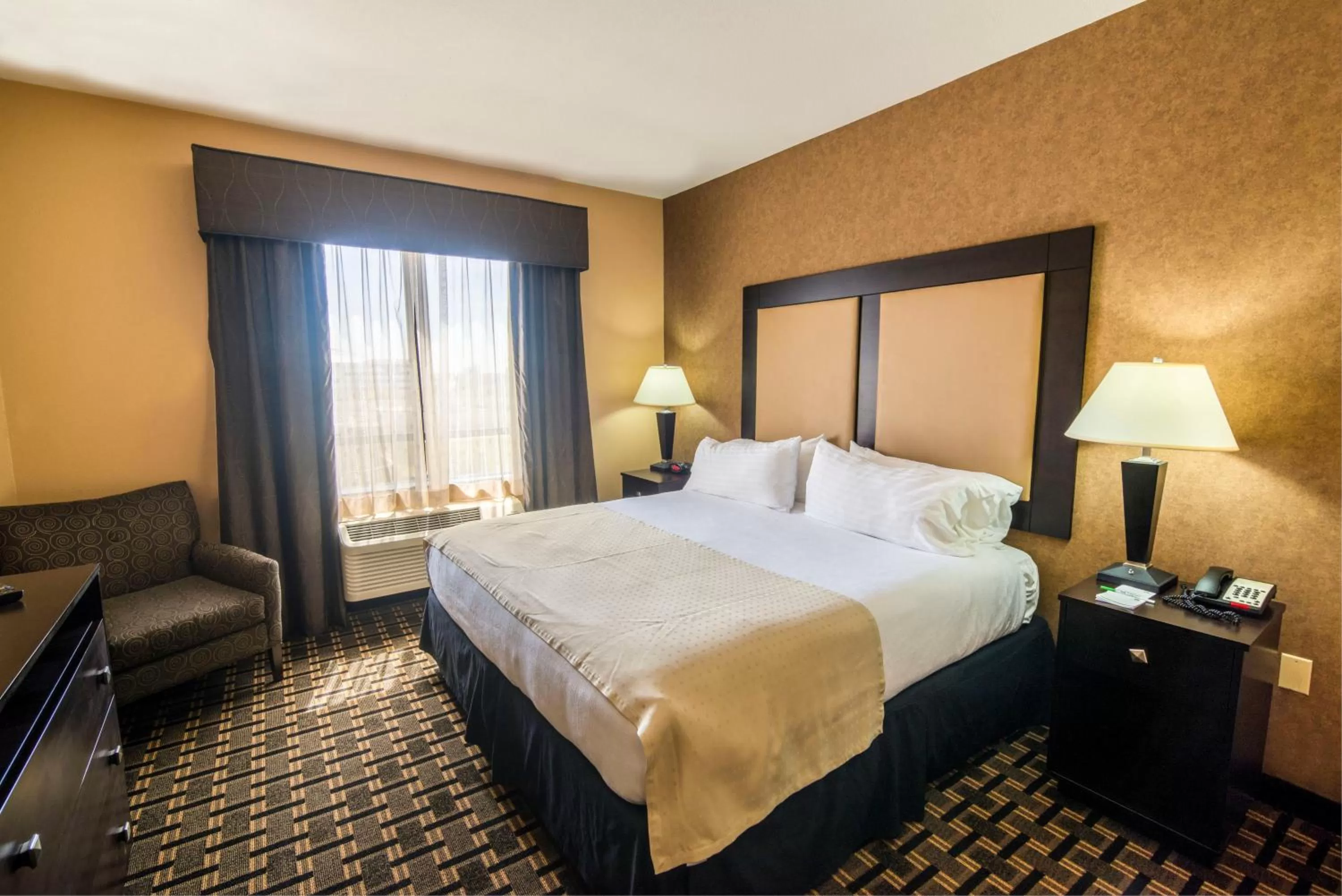 King Suite - Disability Access in Holiday Inn Arlington Northeast by IHG