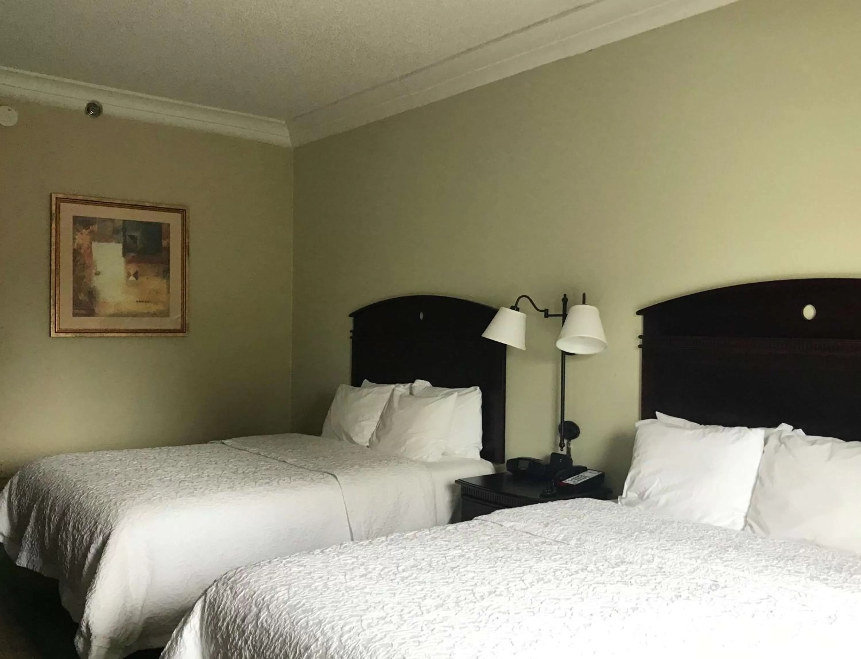Room with Two Queen Beds - Non-Smoking in Hampton Inn Vidalia