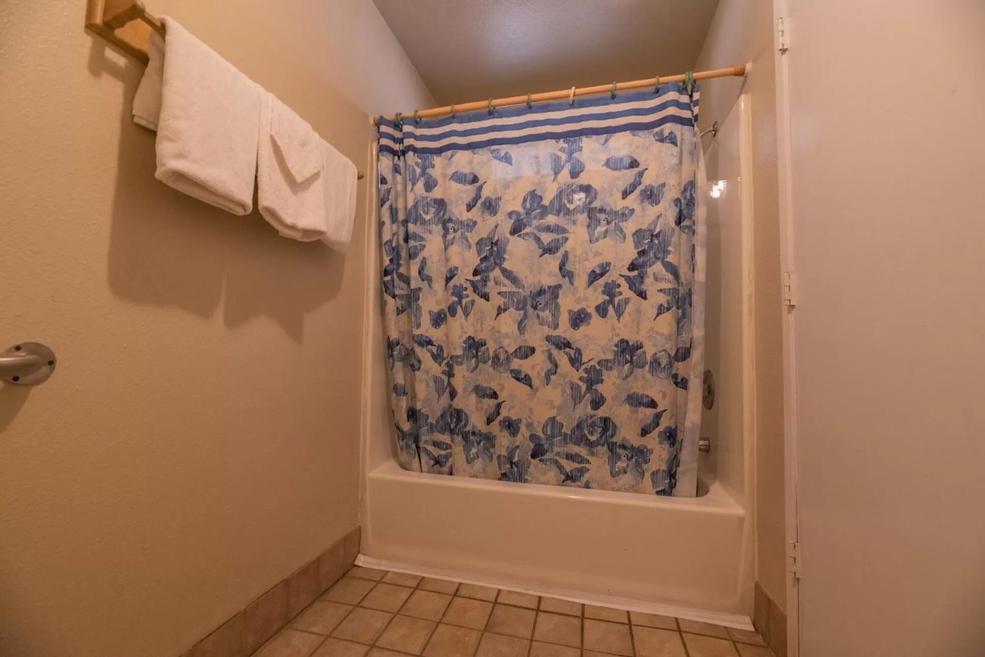 Deluxe Double Room in Black Forest Lodge