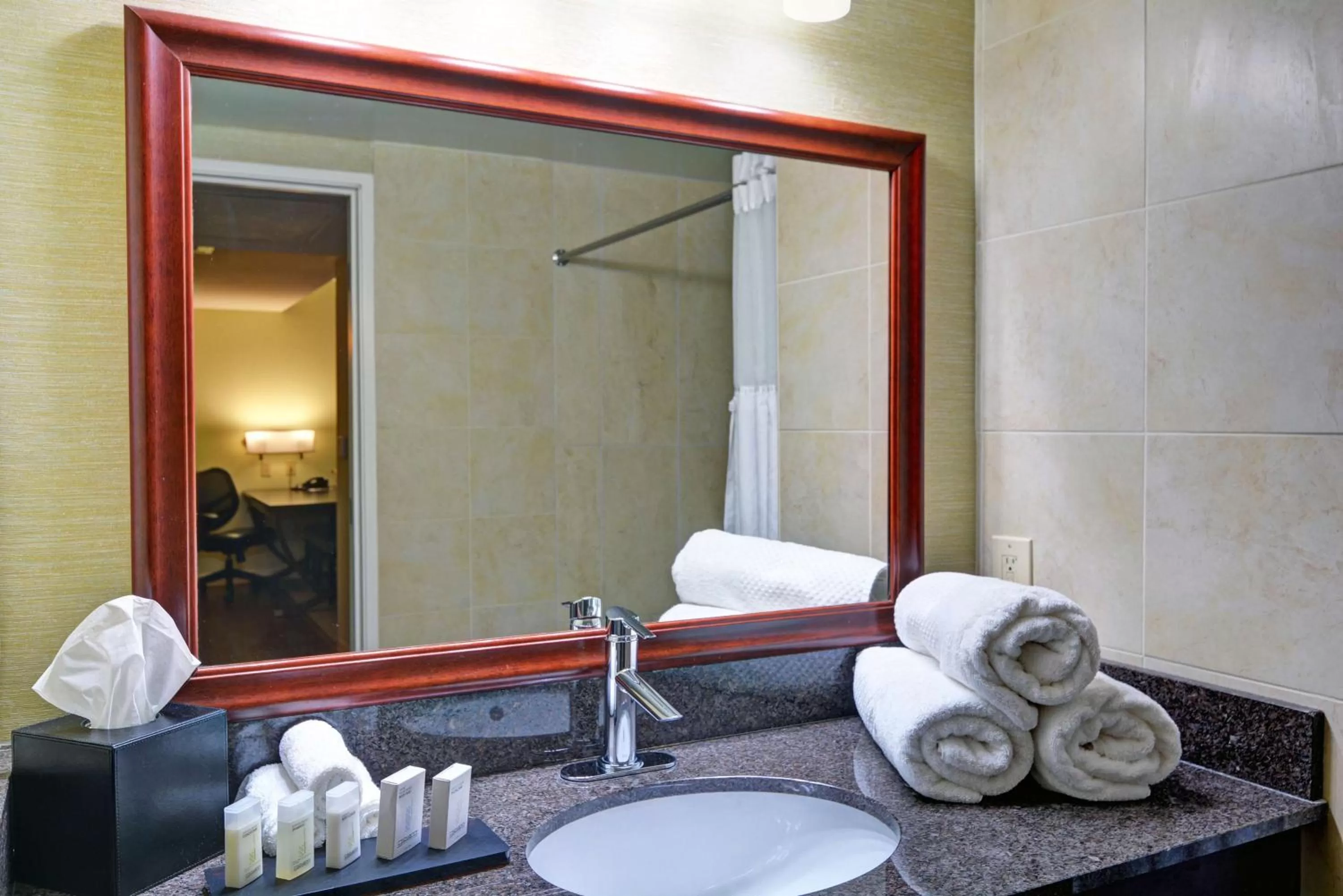 King Suite - Disability Access/Non-Smoking in Embassy Suites Valencia