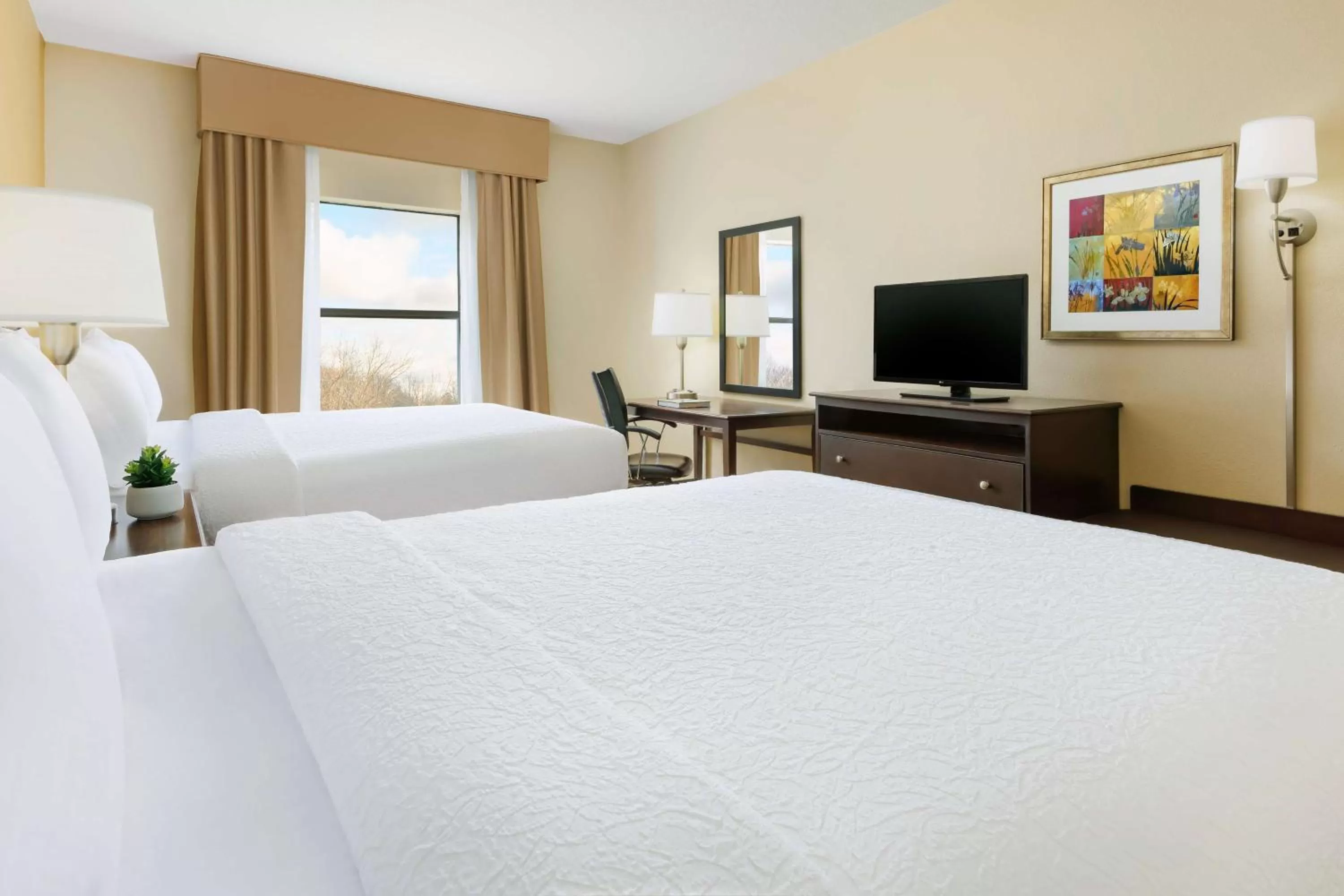 Queen Room with Two Queen Beds - Mobility Access/Non-Smoking in Hampton Inn Jackson