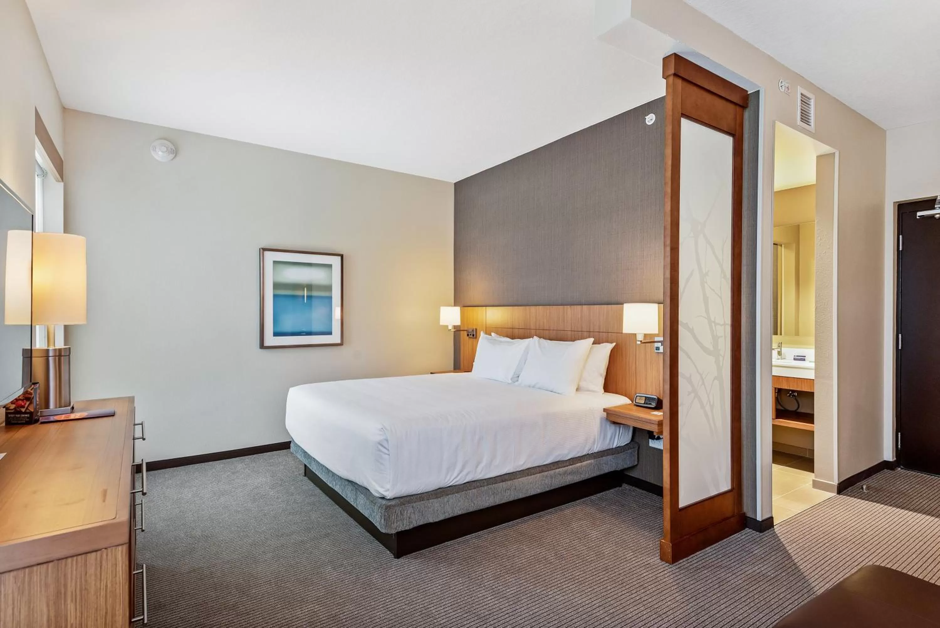 King Room with Sofa Bed - High Floor in Hyatt Place Tampa/Wesley Chapel