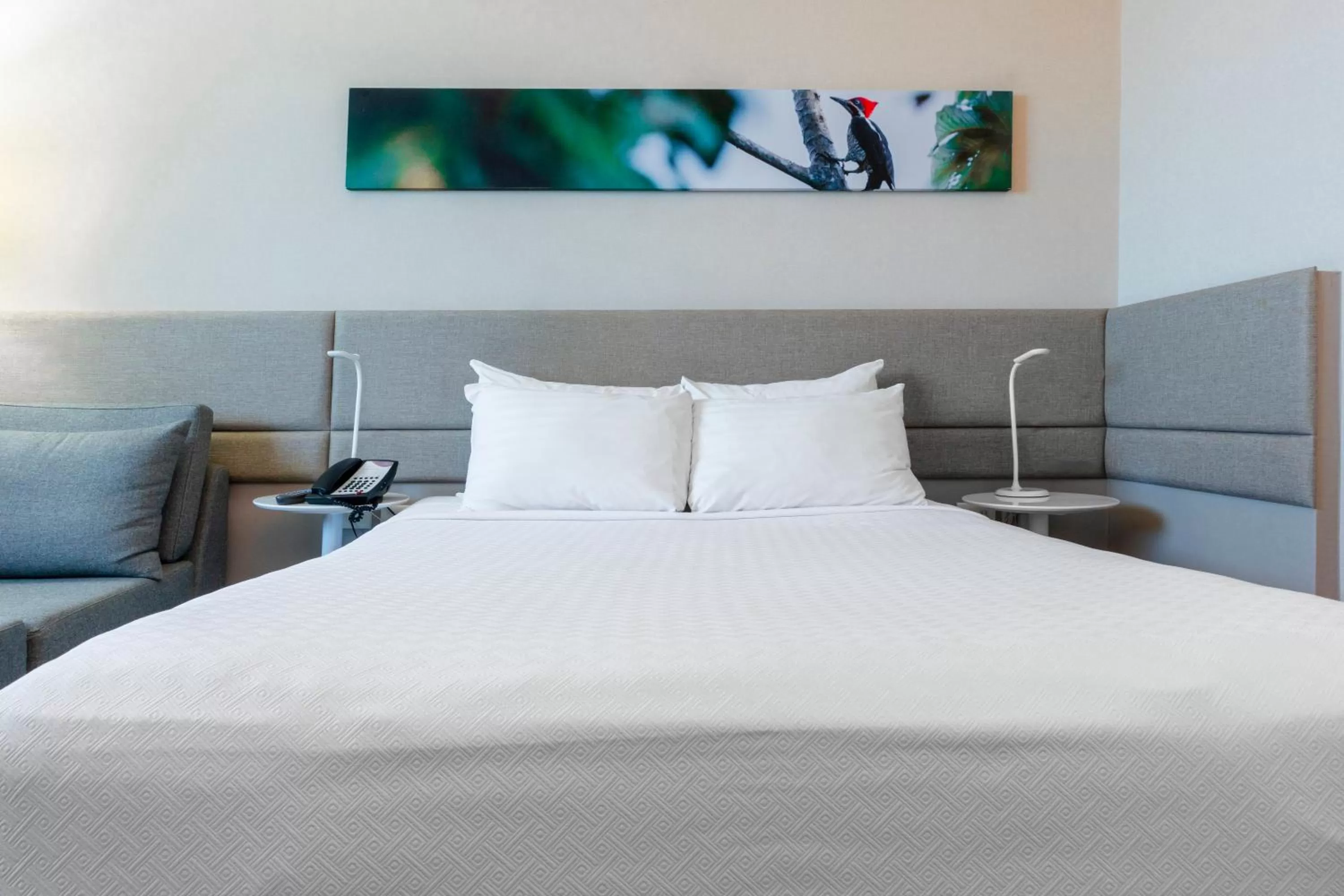 Standard Queen Room with Mountain View - single occupancy in Crowne Plaza Managua by IHG