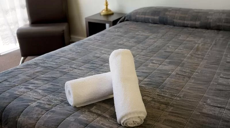 Budget Room in Apple Motor Inn