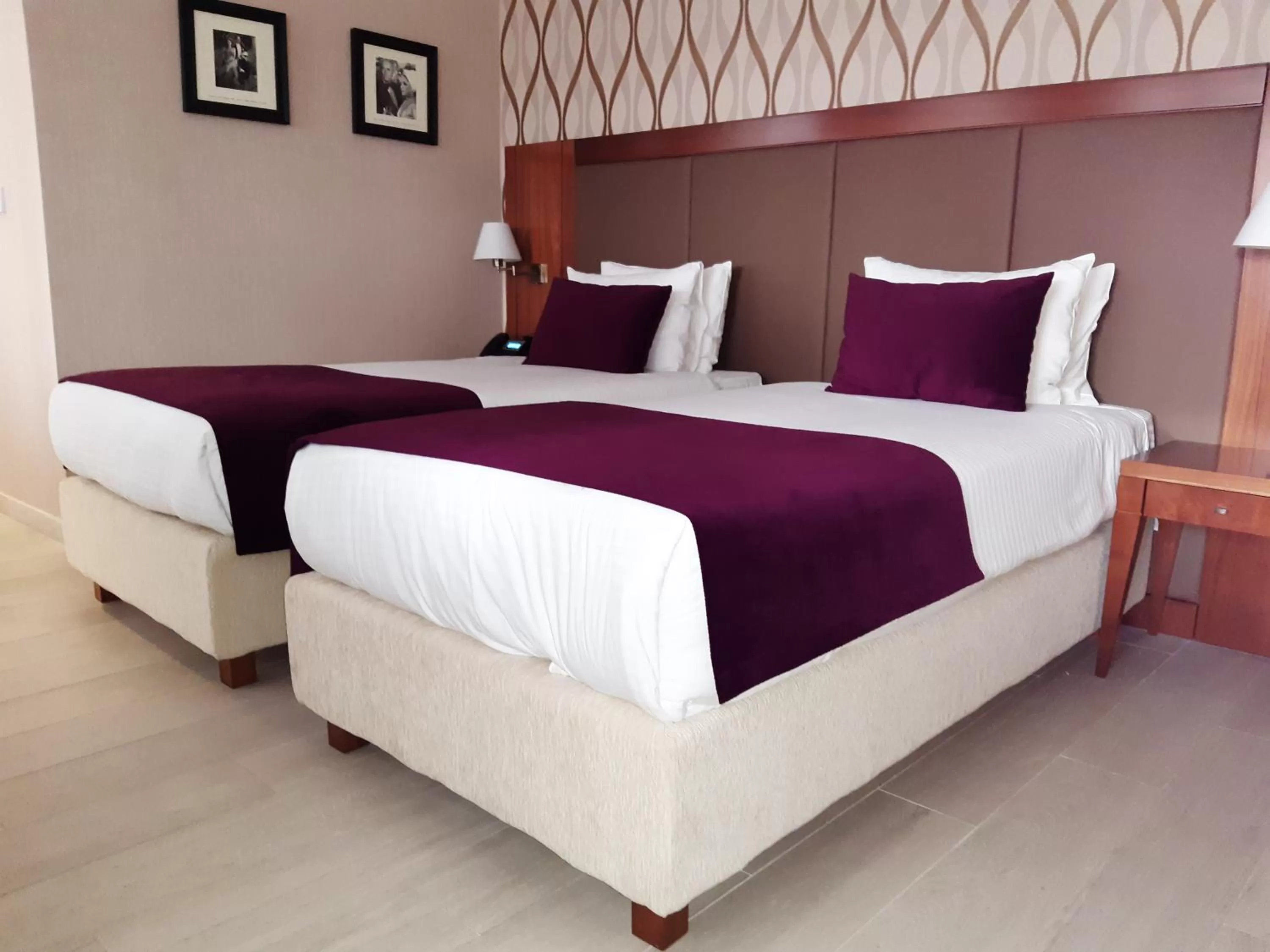Deluxe Twin Room with Balcony in Xenon Hotel & SPA