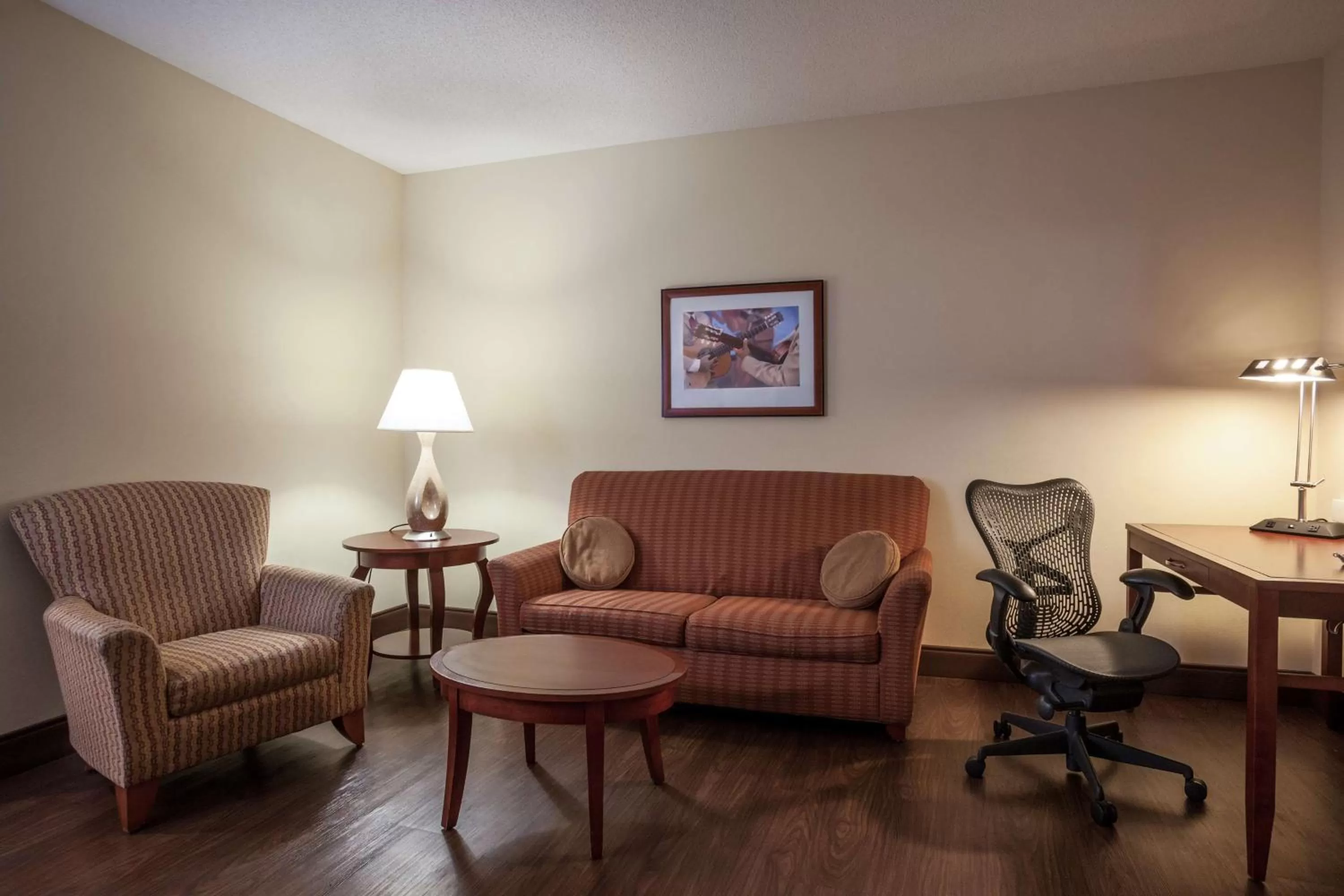 One-Bedroom King Suite in Hilton Garden Inn El Paso University
