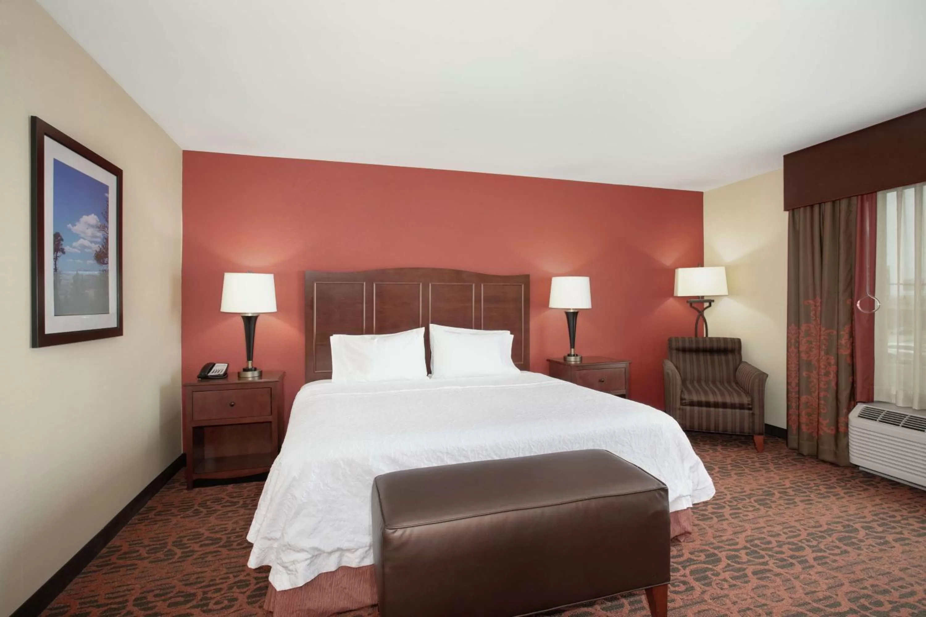 King Room with Accessible Tub - Mobility and Hearing Access/Non-Smoking in Hampton Inn and Suites Denver/South-RidgeGate