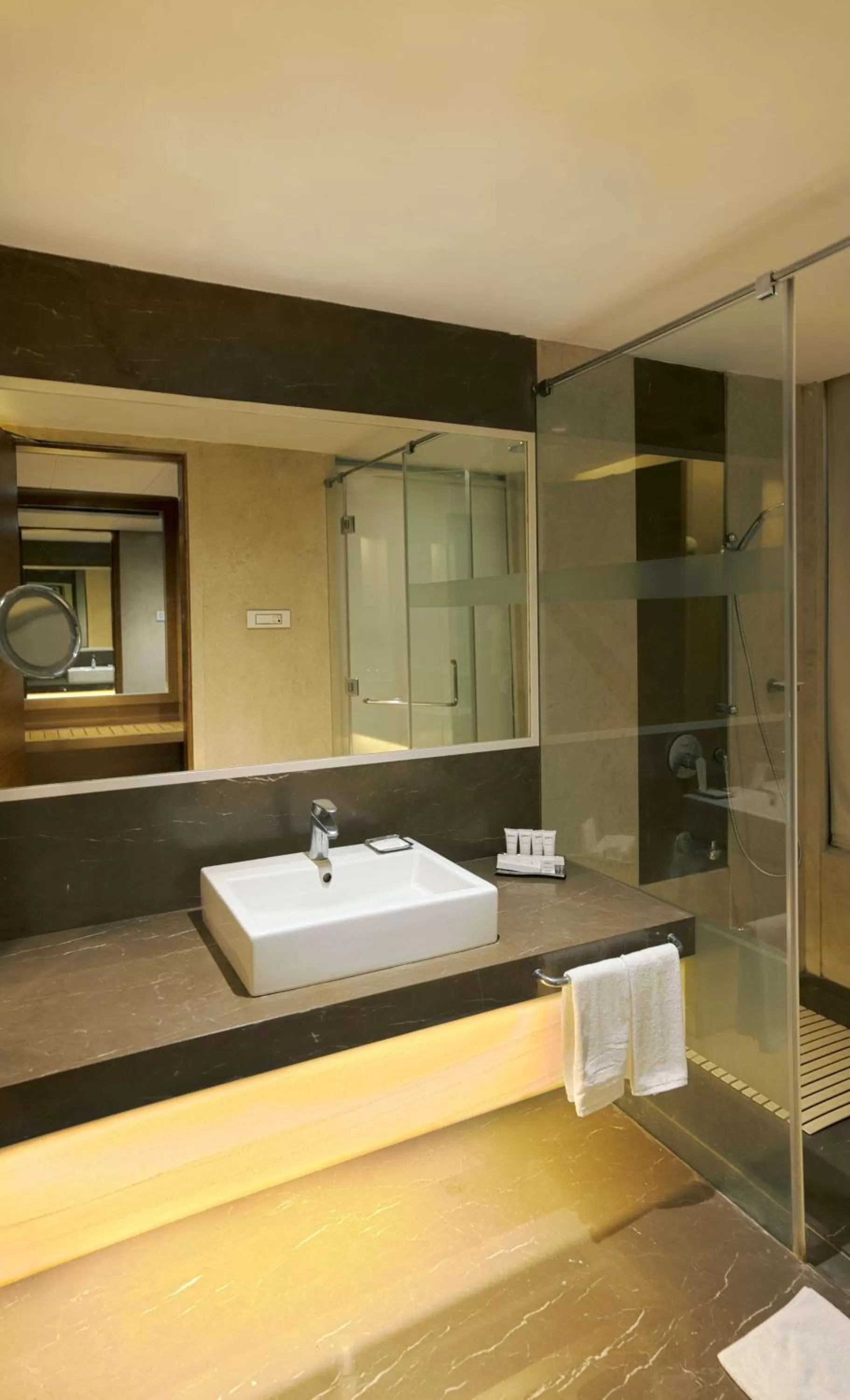 Superior Room-Enjoy 20% off on Food & Soft Beverages and Spa in Radisson Udaipur