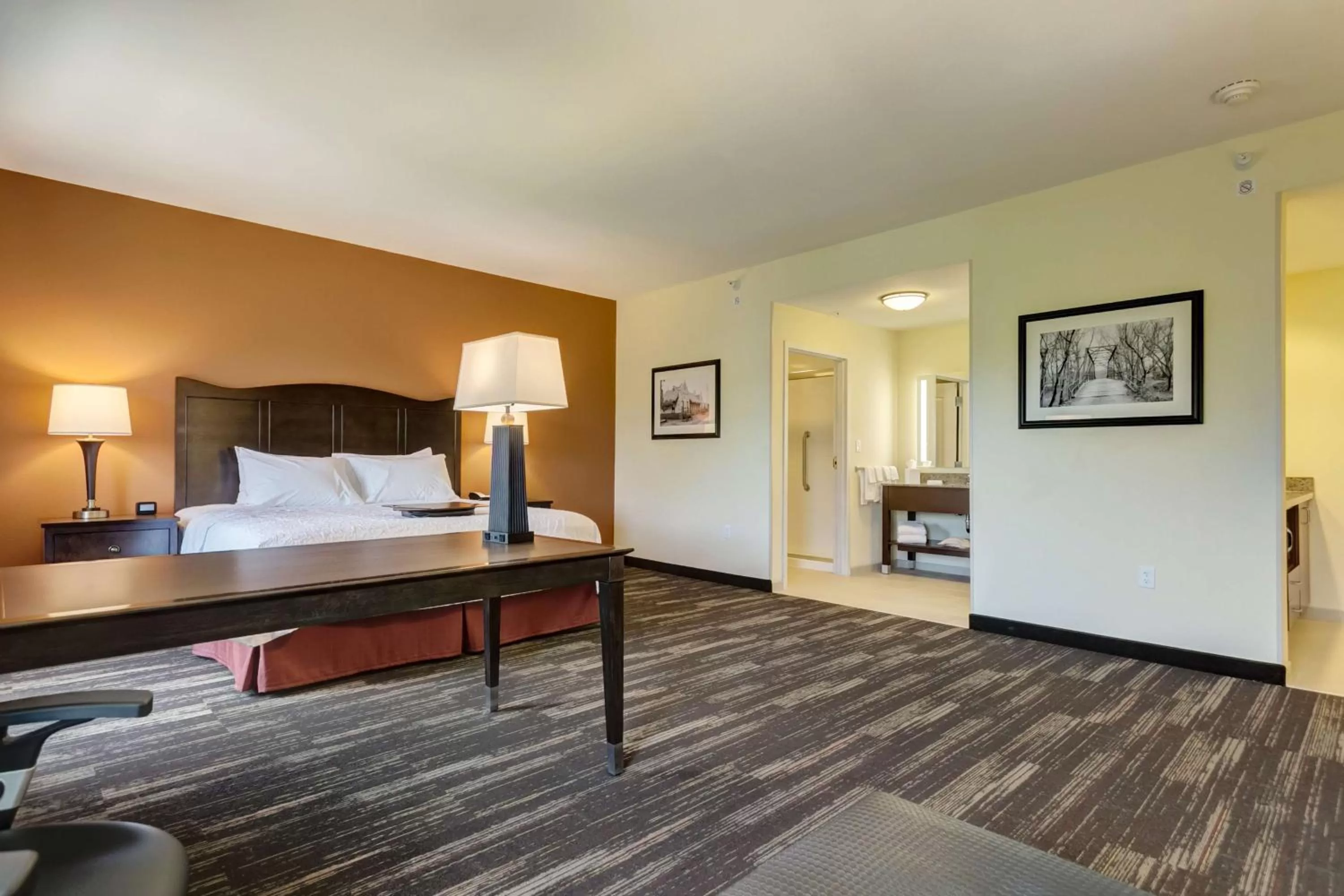 King Studio Suite - Non Smoking in Hampton Inn Poplar Bluff