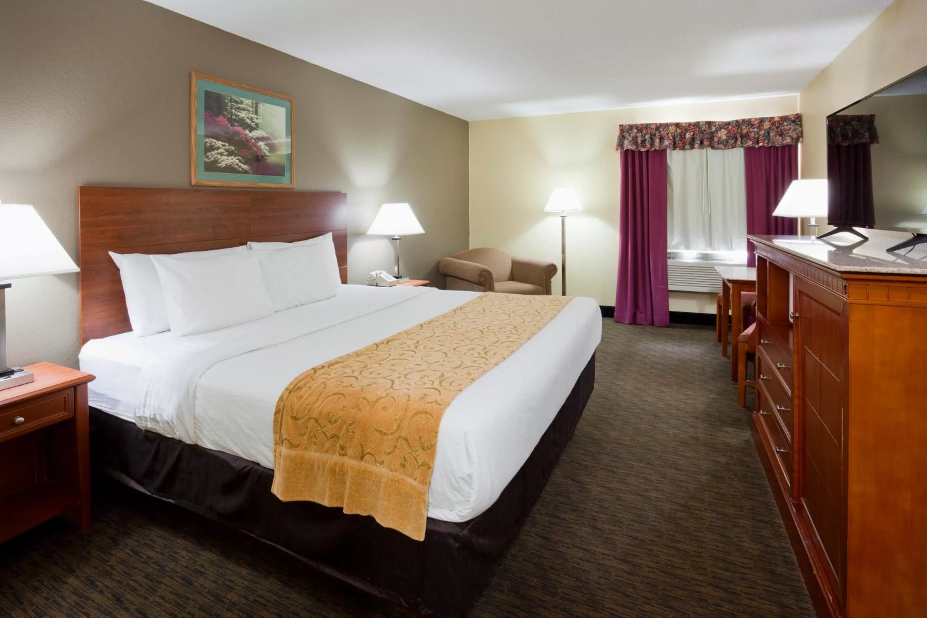 Deluxe King Room in GrandStay Hotel and Suite Waseca