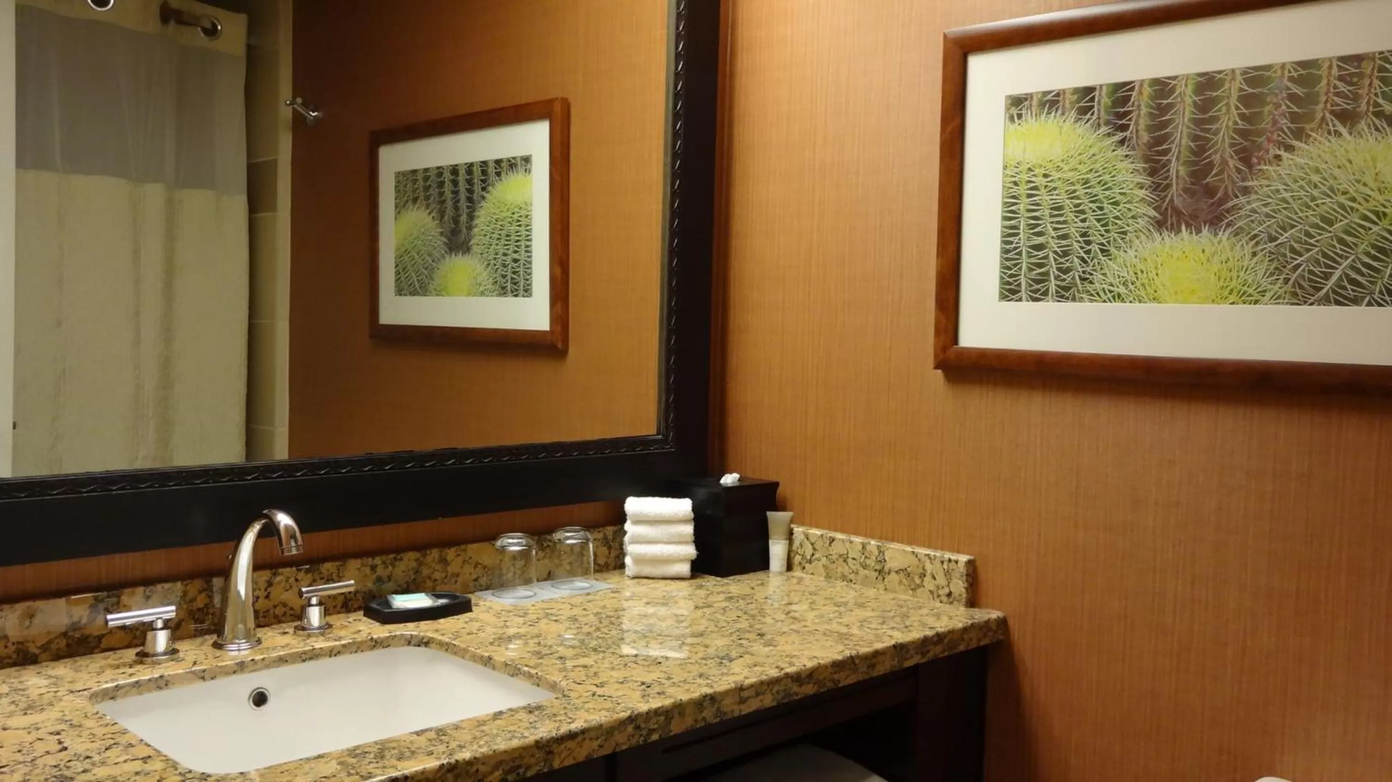 Deluxe King Room in Hyatt Regency Phoenix Downtown