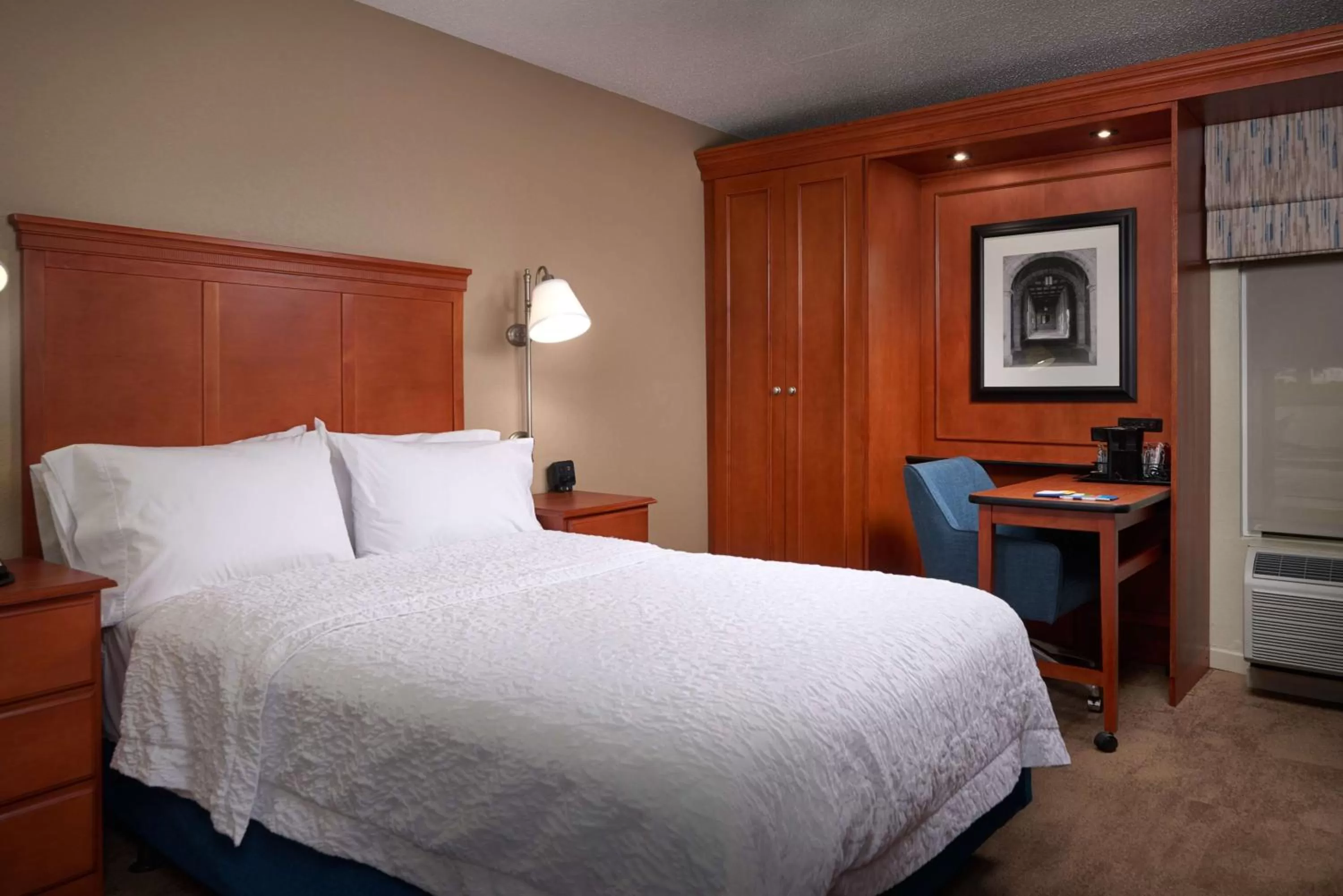 Double Room with Roll-in Shower - Mobility Accessible/Non-Smoking in Hampton Inn Ann Arbor-South