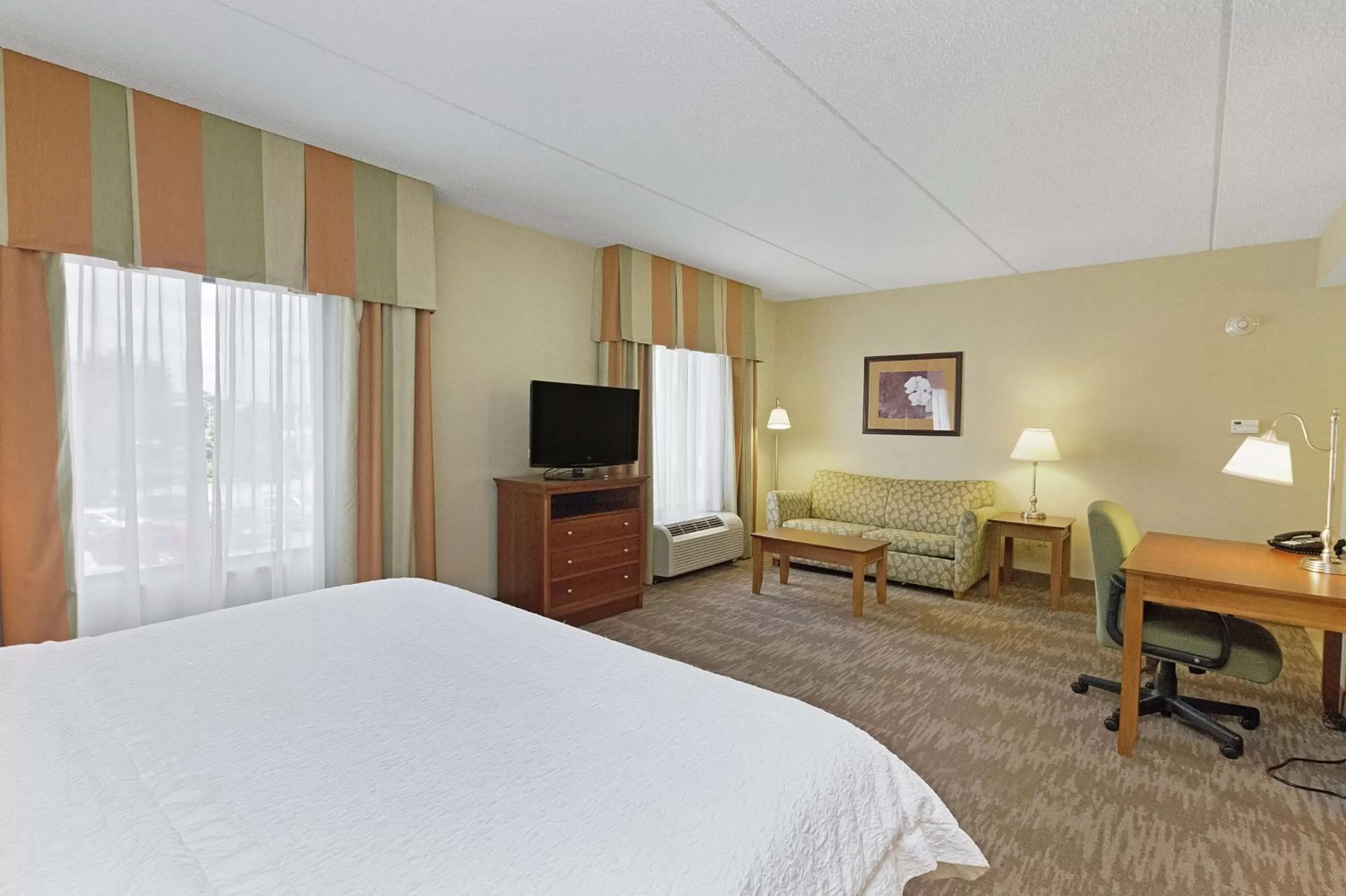King Studio Suite with Sofa Bed - Non-Smoking in Hampton Inn & Suites Blairsville