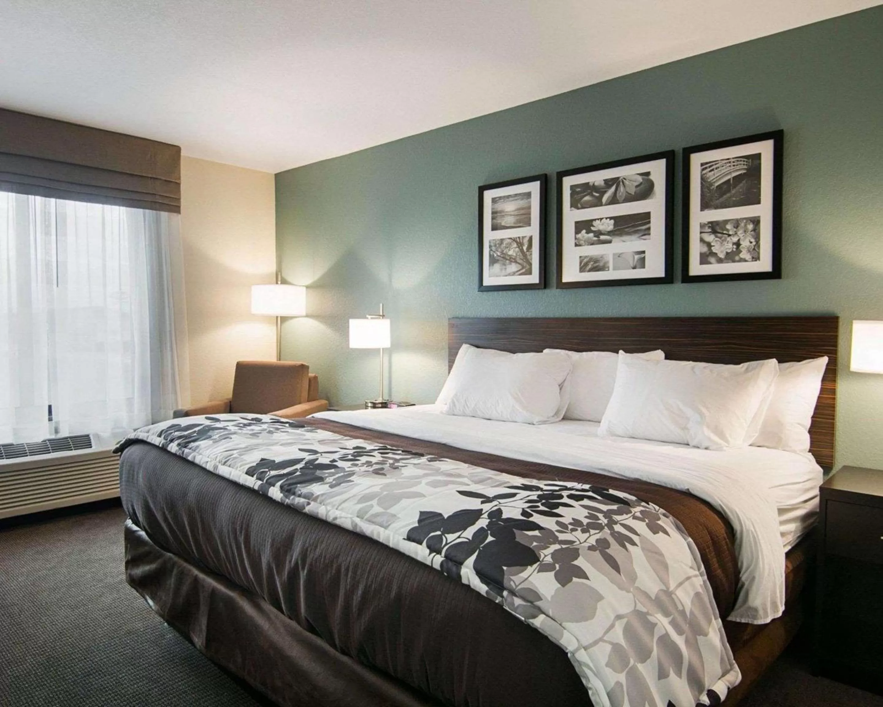 King Room - Non-Smoking in Sleep Inn & Suites Fort Dodge
