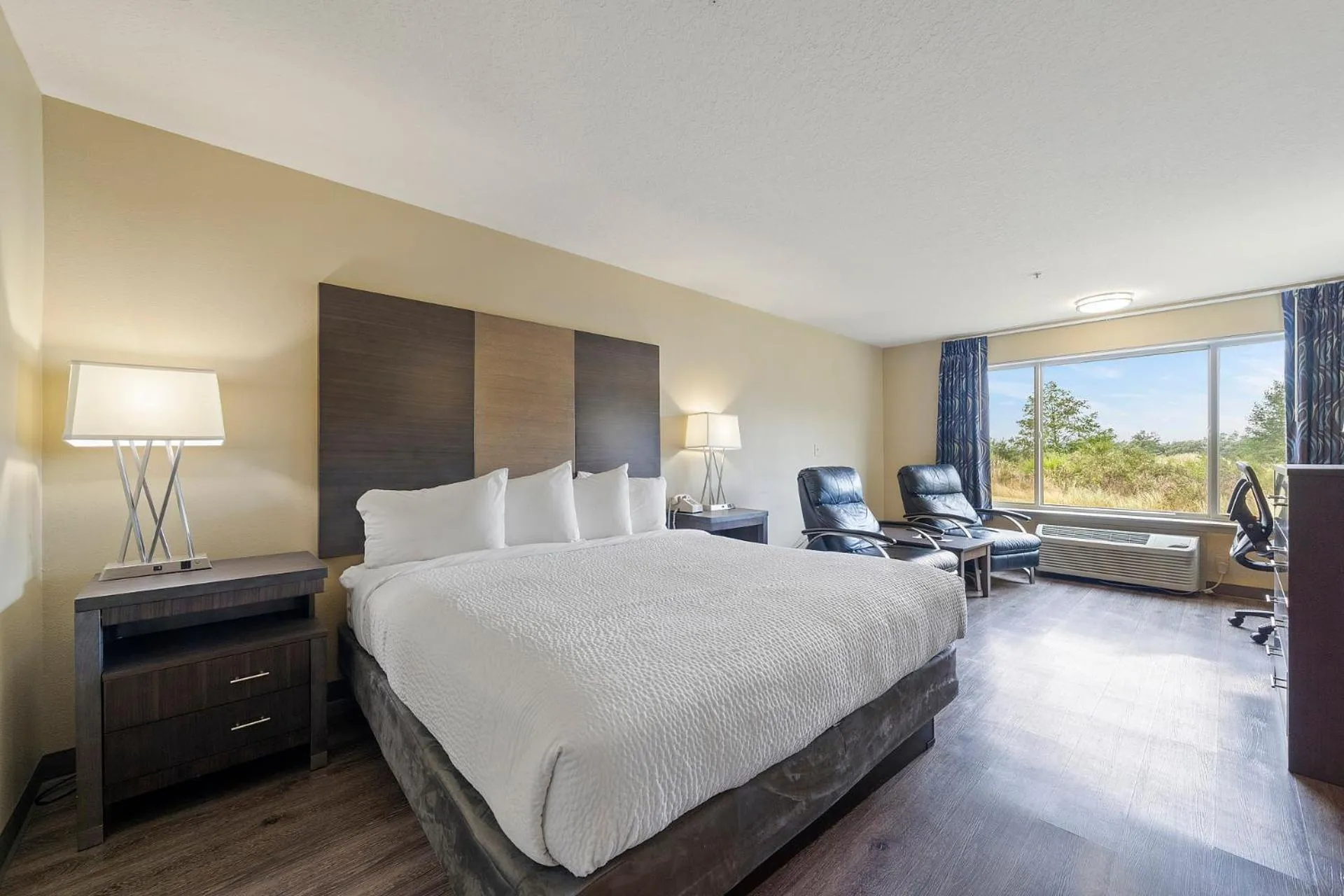 Standard Single King Room - No View in Oceanview Inn at the Arch