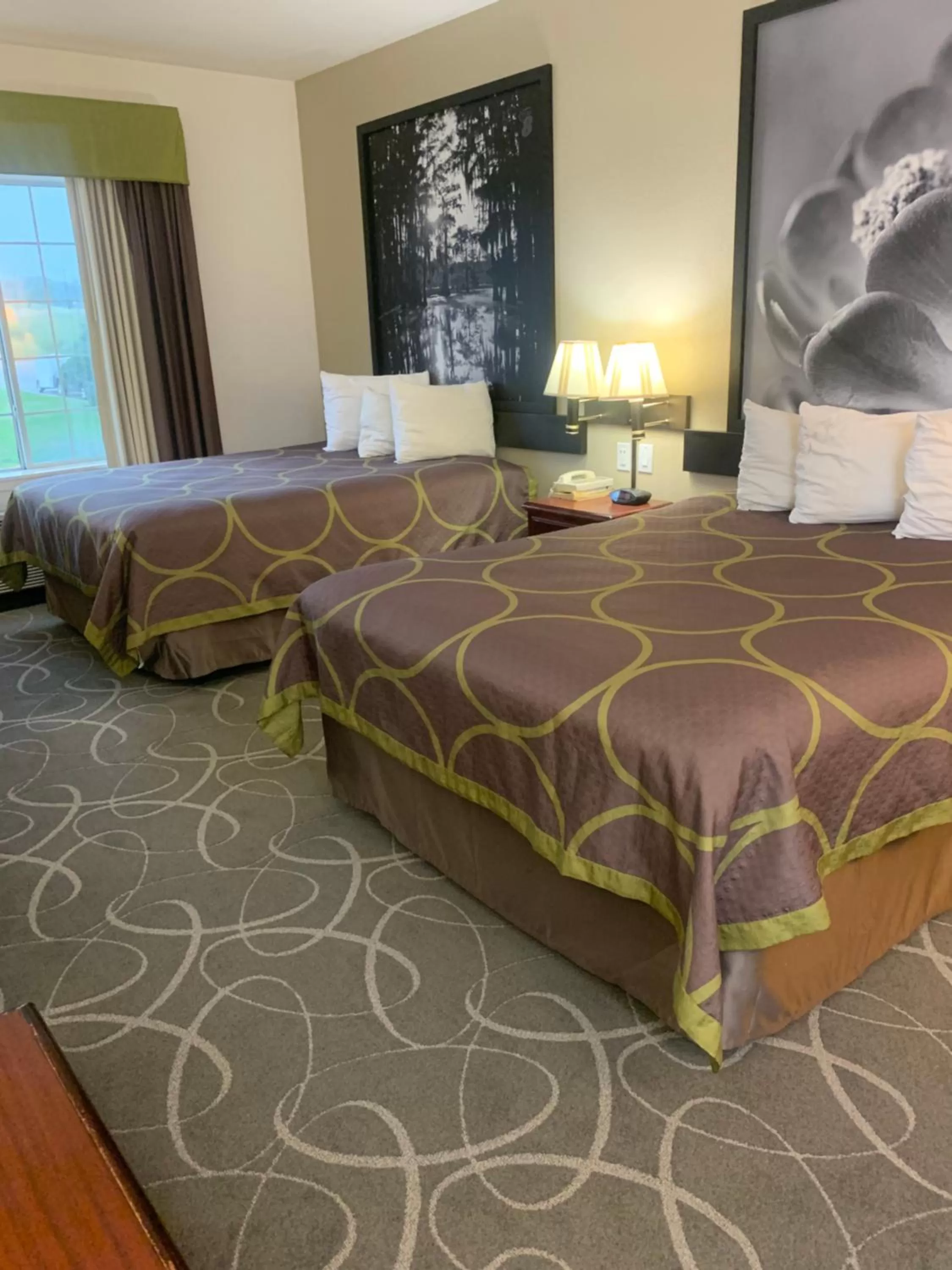 Queen Room with Two Queen Beds - Non-Smoking in Super 8 by Wyndham Hillsboro TX