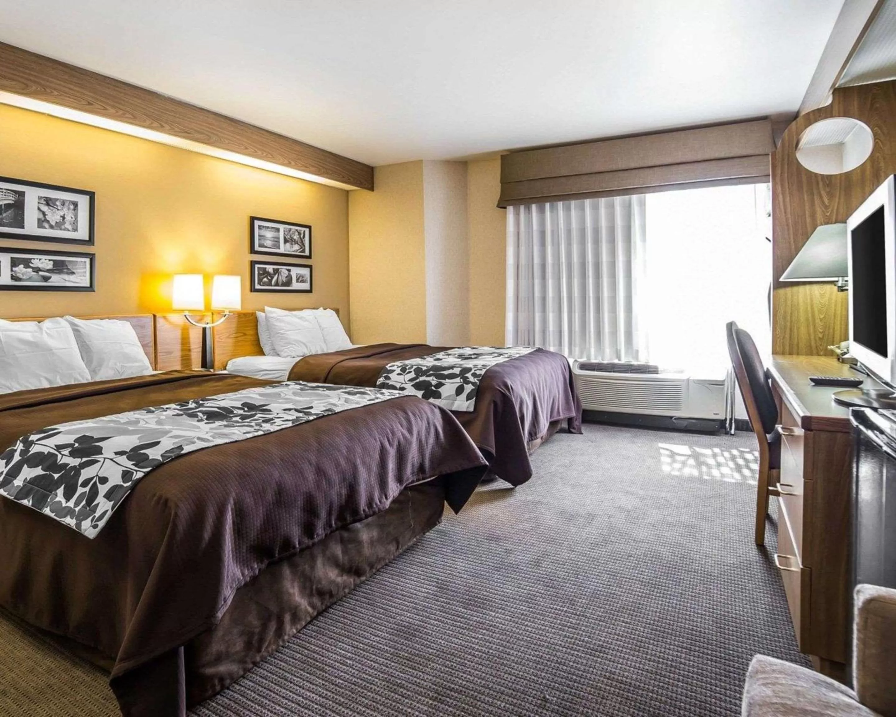 Queen Room with Two Queen Beds - Non-Smoking in Quality Inn Moab Slickrock Area