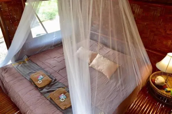 Cottage in Micky Monkey Beach Hotel Phuket Maikhao Thailand