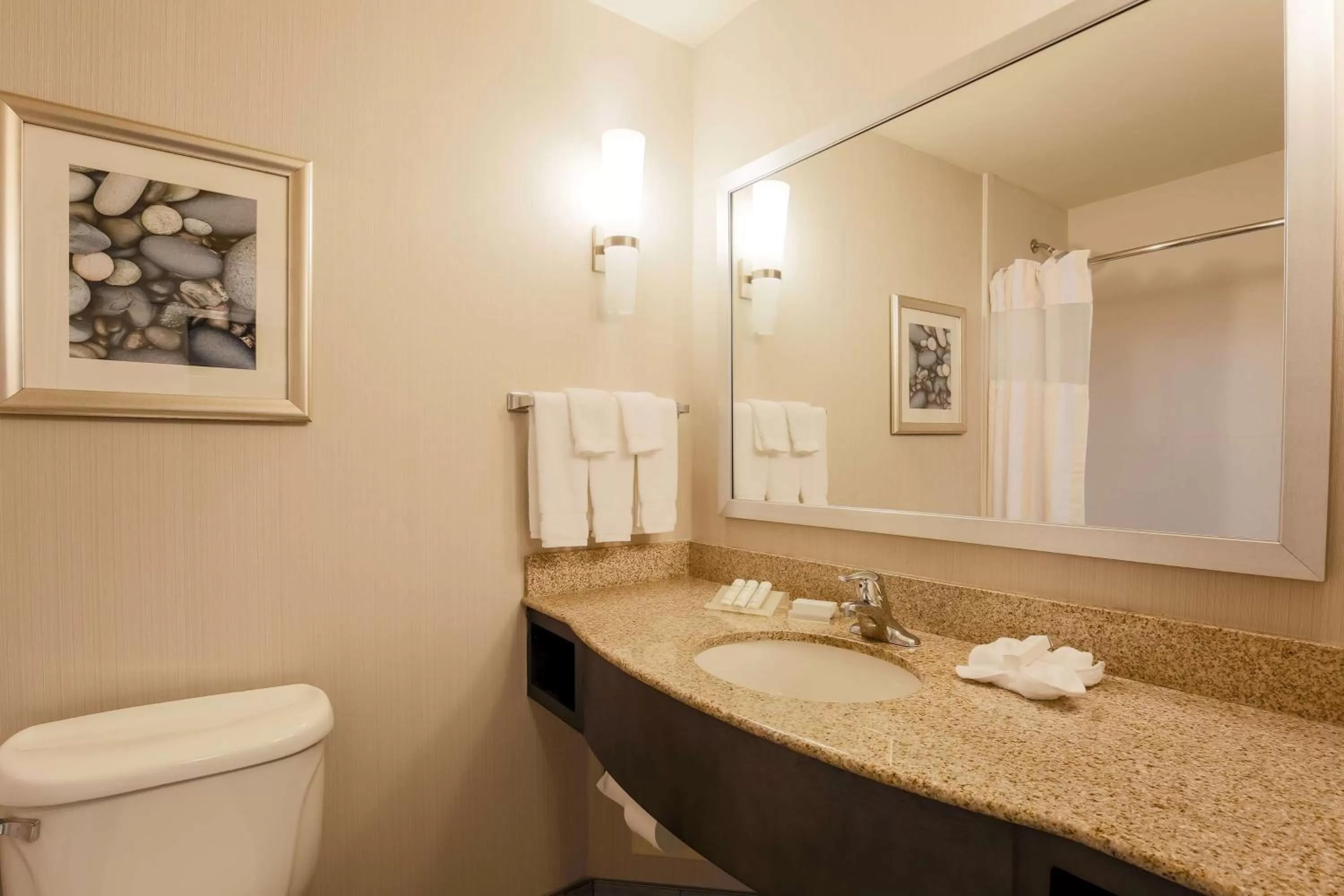 Evolution King Room - single occupancy in Hilton Garden Inn Nanuet