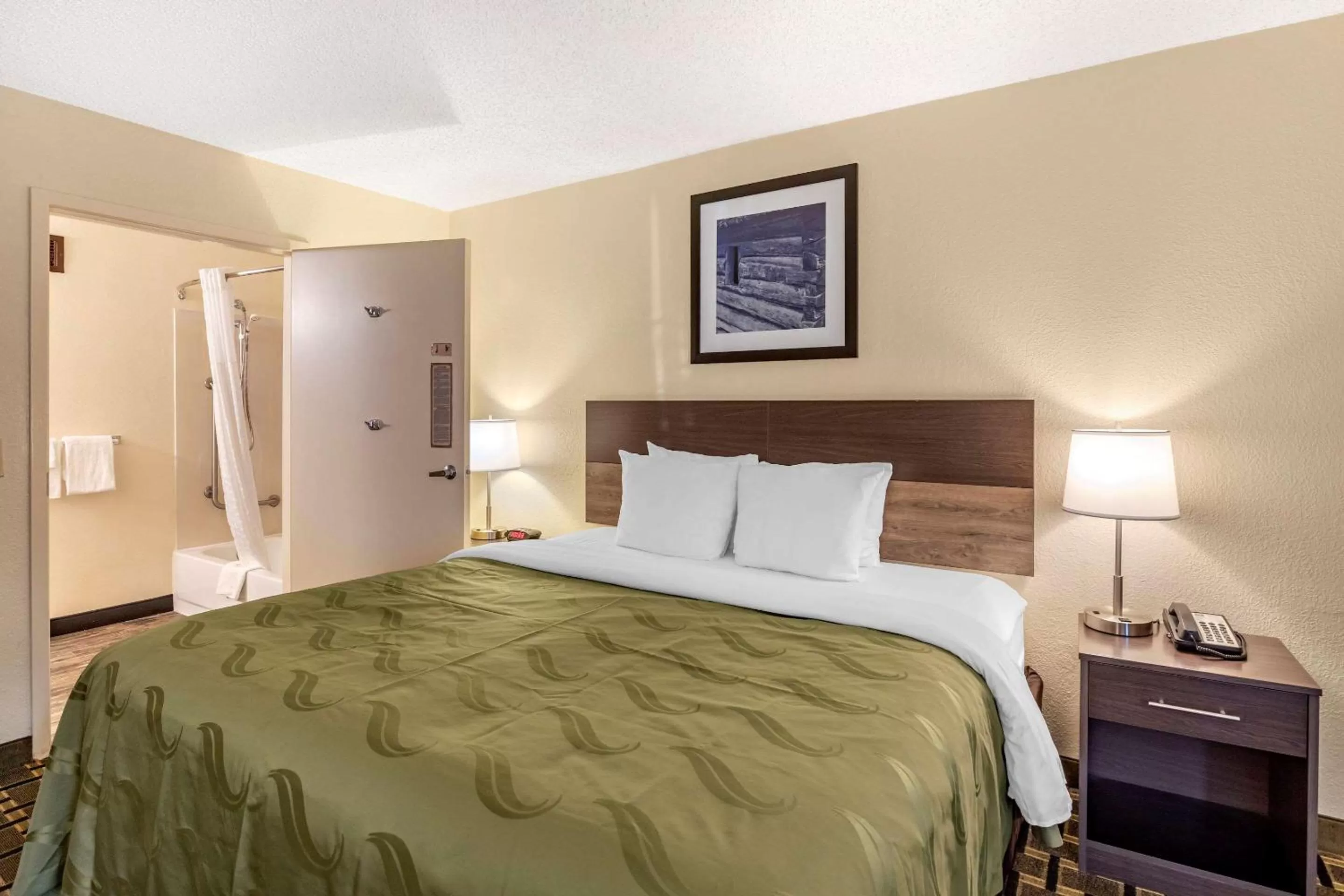 King Room - Accessible/Non-Smoking in Quality Inn Duluth - Atlanta Northeast