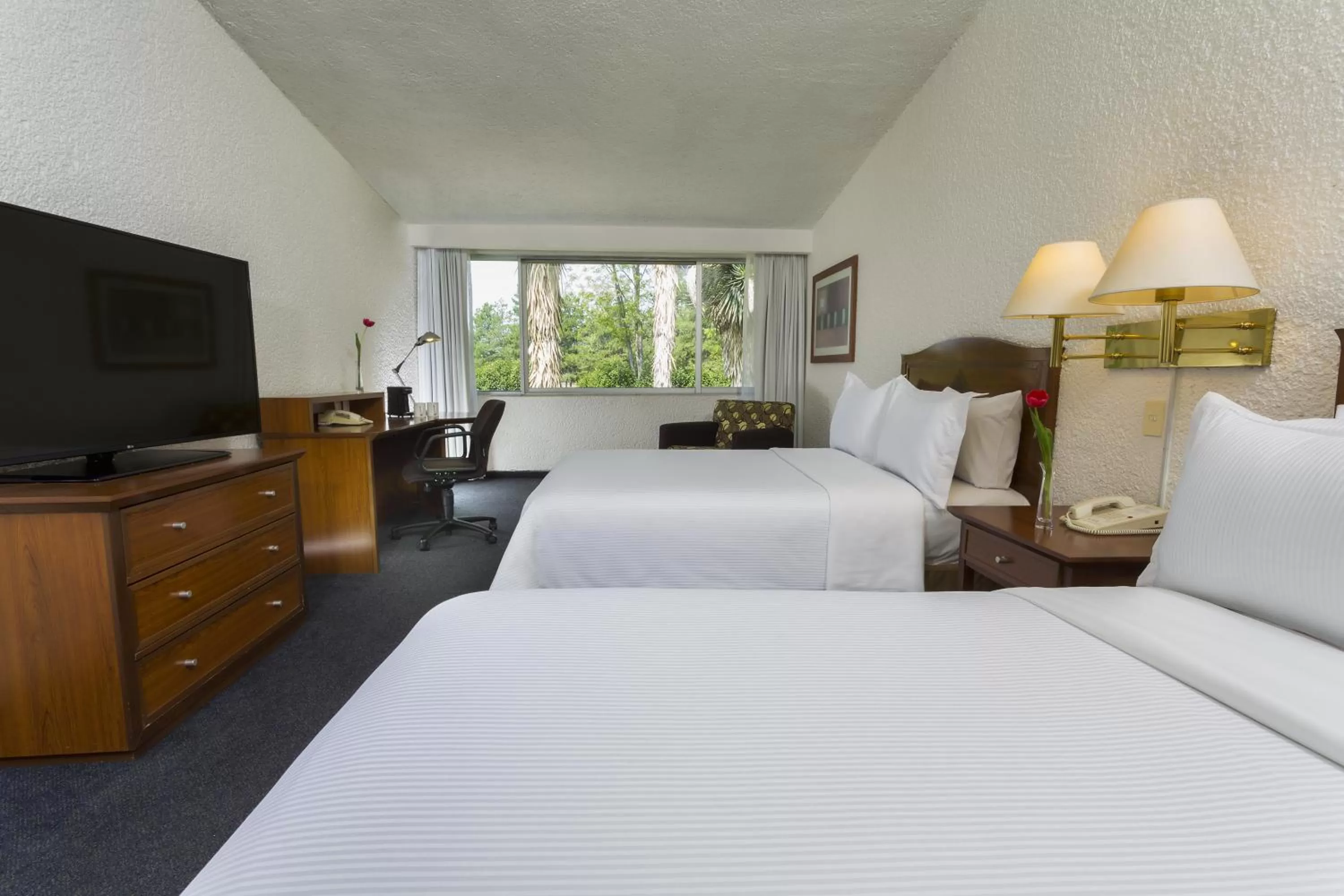 Double Room with Two Double Beds in Gamma Pachuca