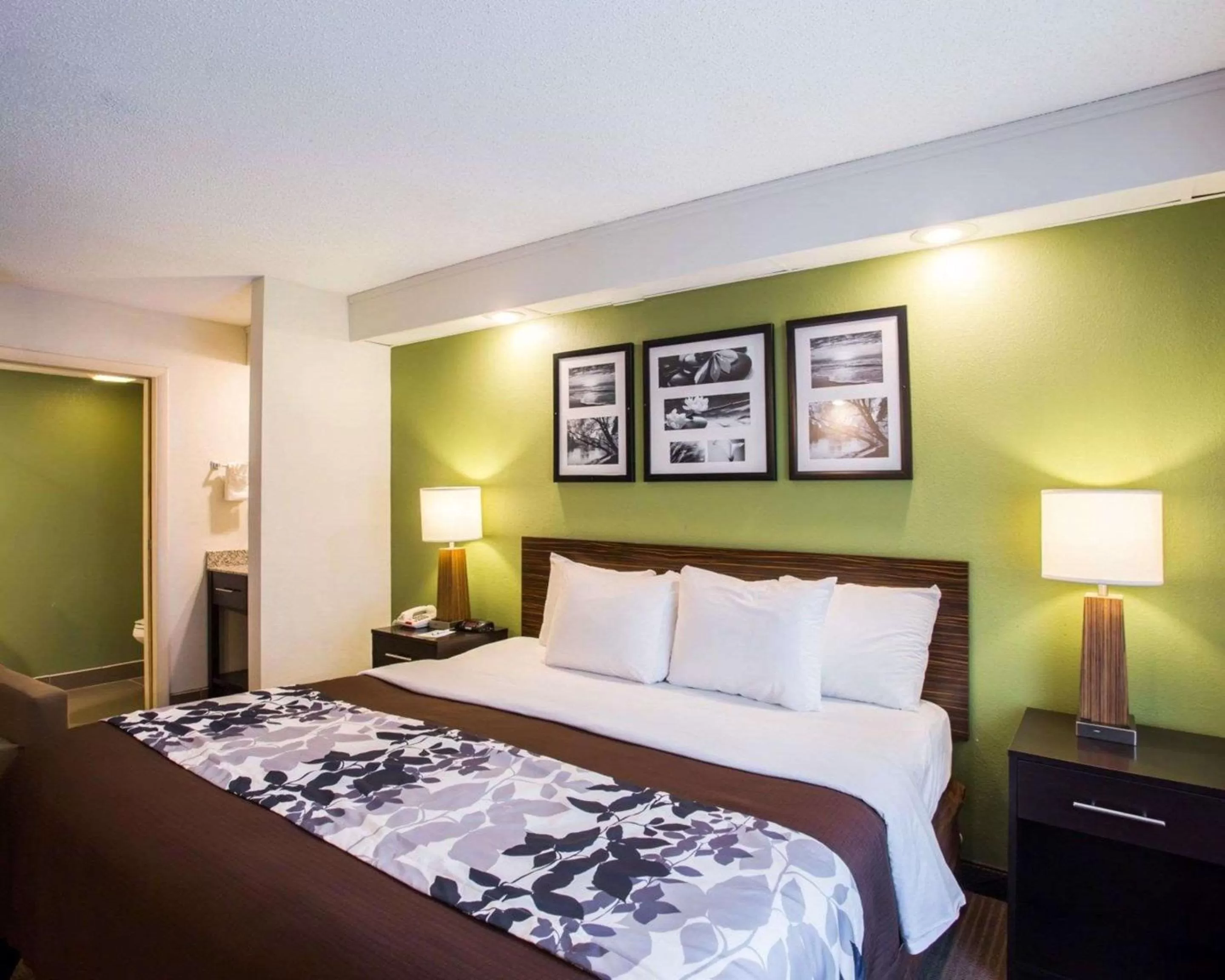 King Room in Sleep Inn Nashville North - Downtown Area