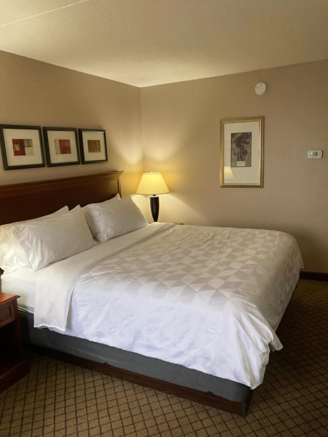 Standard King Room with Sofa Bed - Non-Smoking in Holiday Inn Cincinnati-Eastgate by IHG