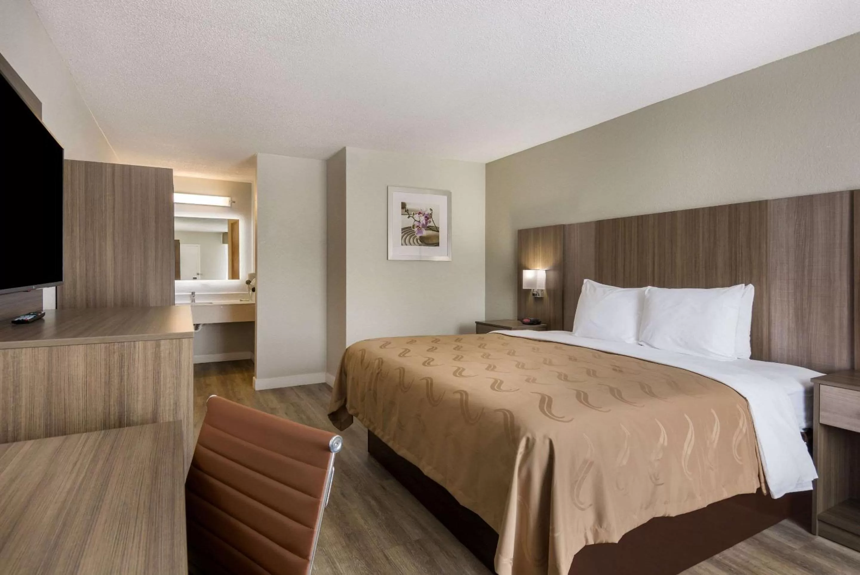 King Room - Accessible/Non Smoking in Quality Inn Emporia