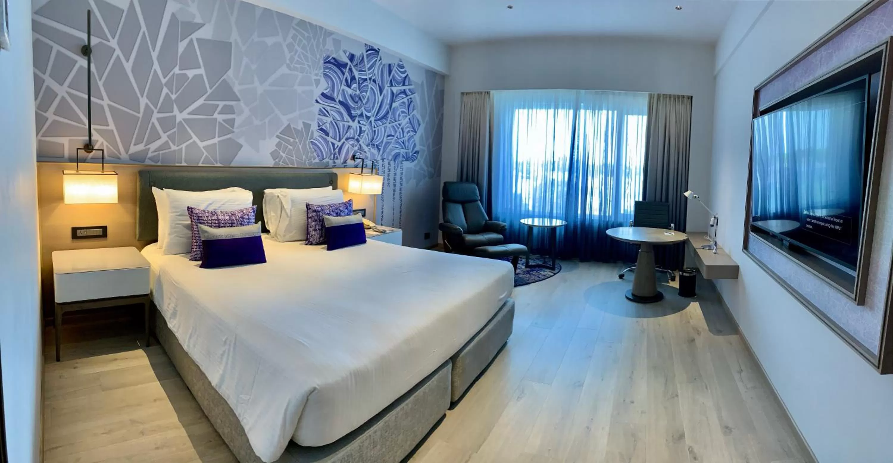 Deluxe Room Queen Bed with City View  - single occupancy in Vivanta Vadodara