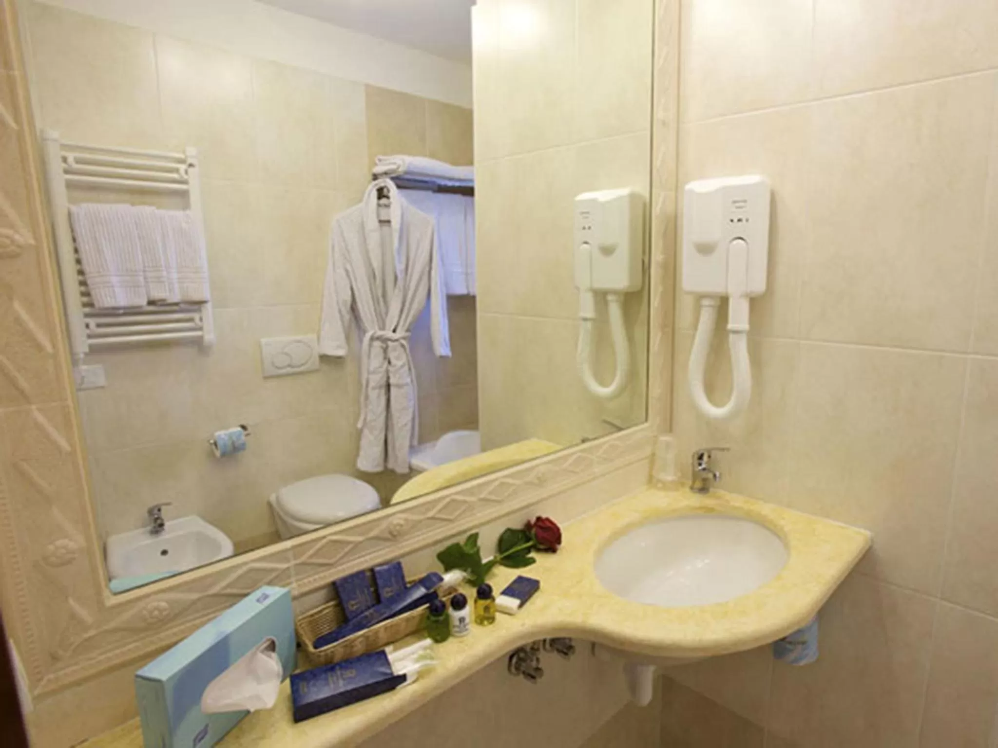 Standard Single Room with Internal View in Giotto Hotel & Spa