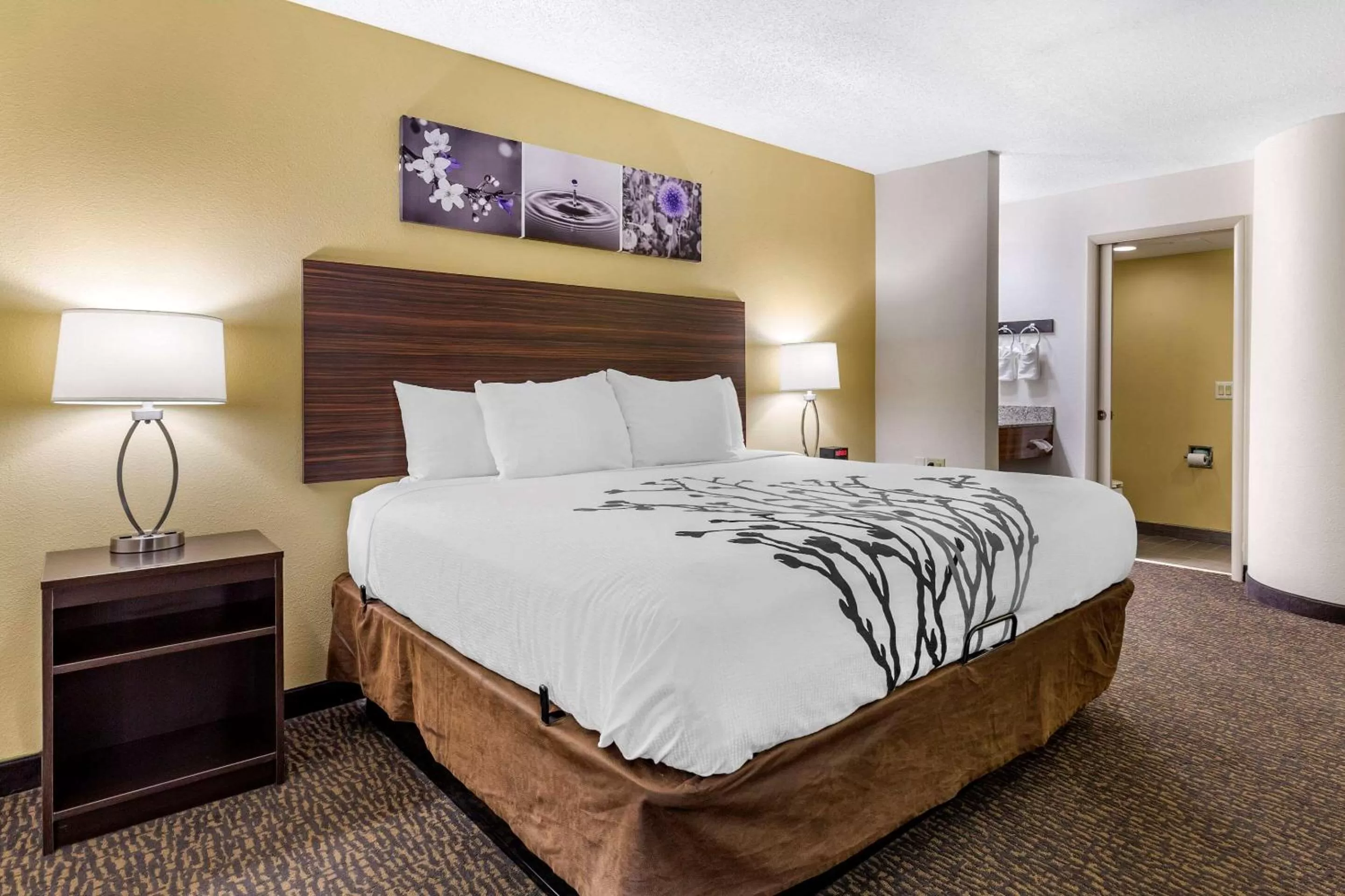 King Room - Non-Smoking in Sleep Inn Henderson I-85