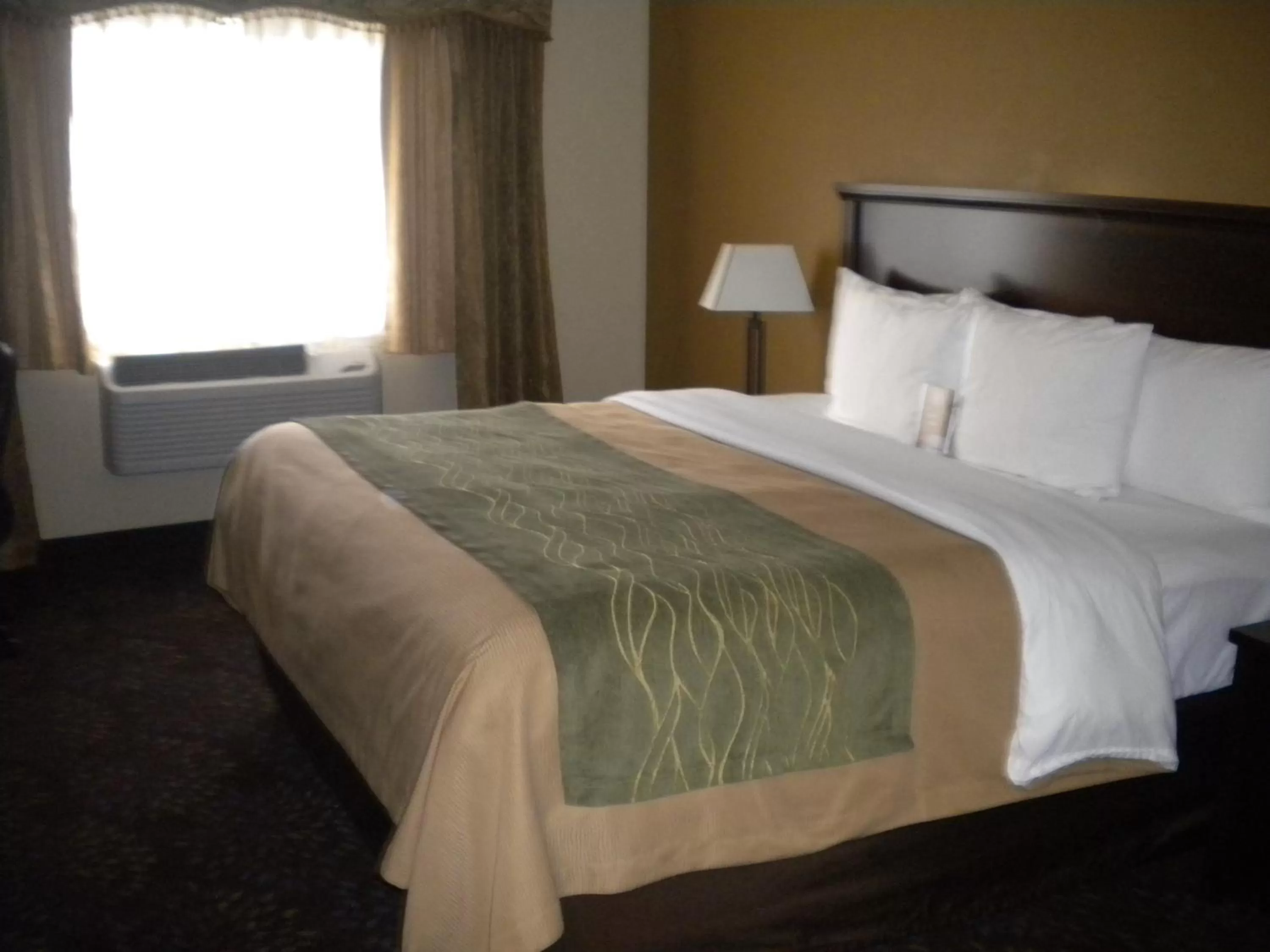 King Room - Pet Friendly in Comfort Inn Federal Way - Seattle