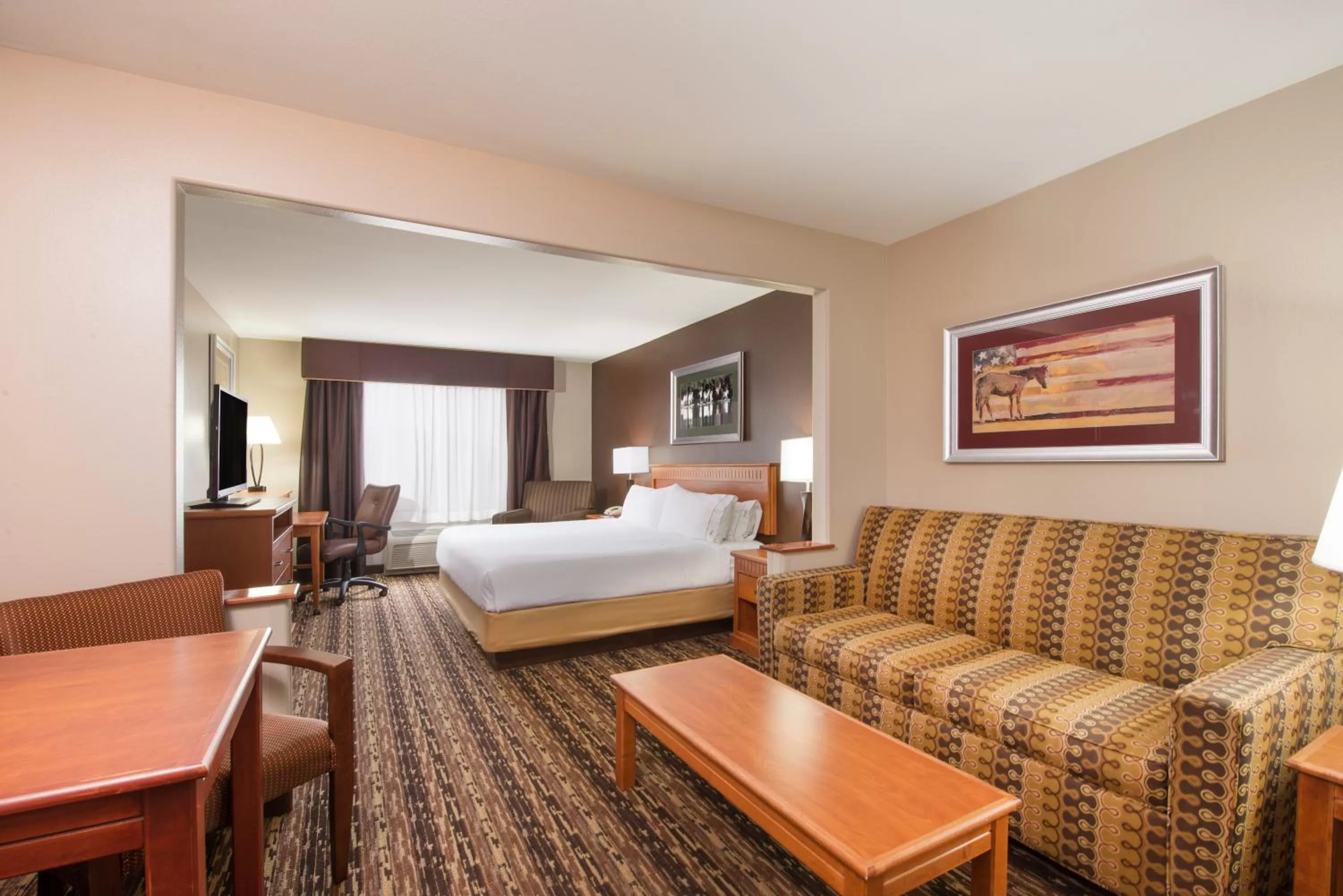 Suite - Mobility Access/Hearing Accessible in Holiday Inn Express & Suites Douglas by IHG