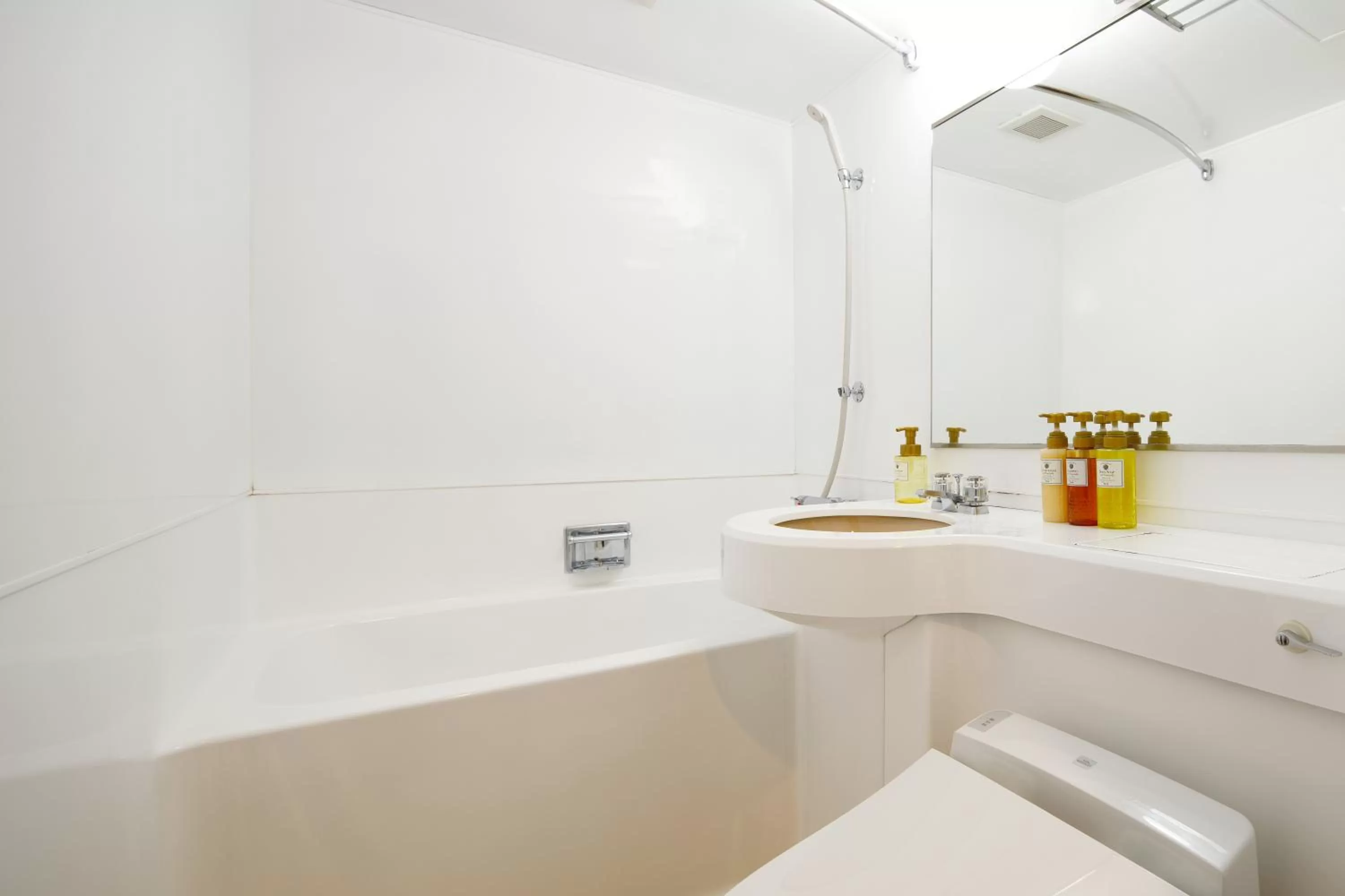 Single Room with Sofa Bed - single occupancy - Smoking in Hotel Sunroute Hikone