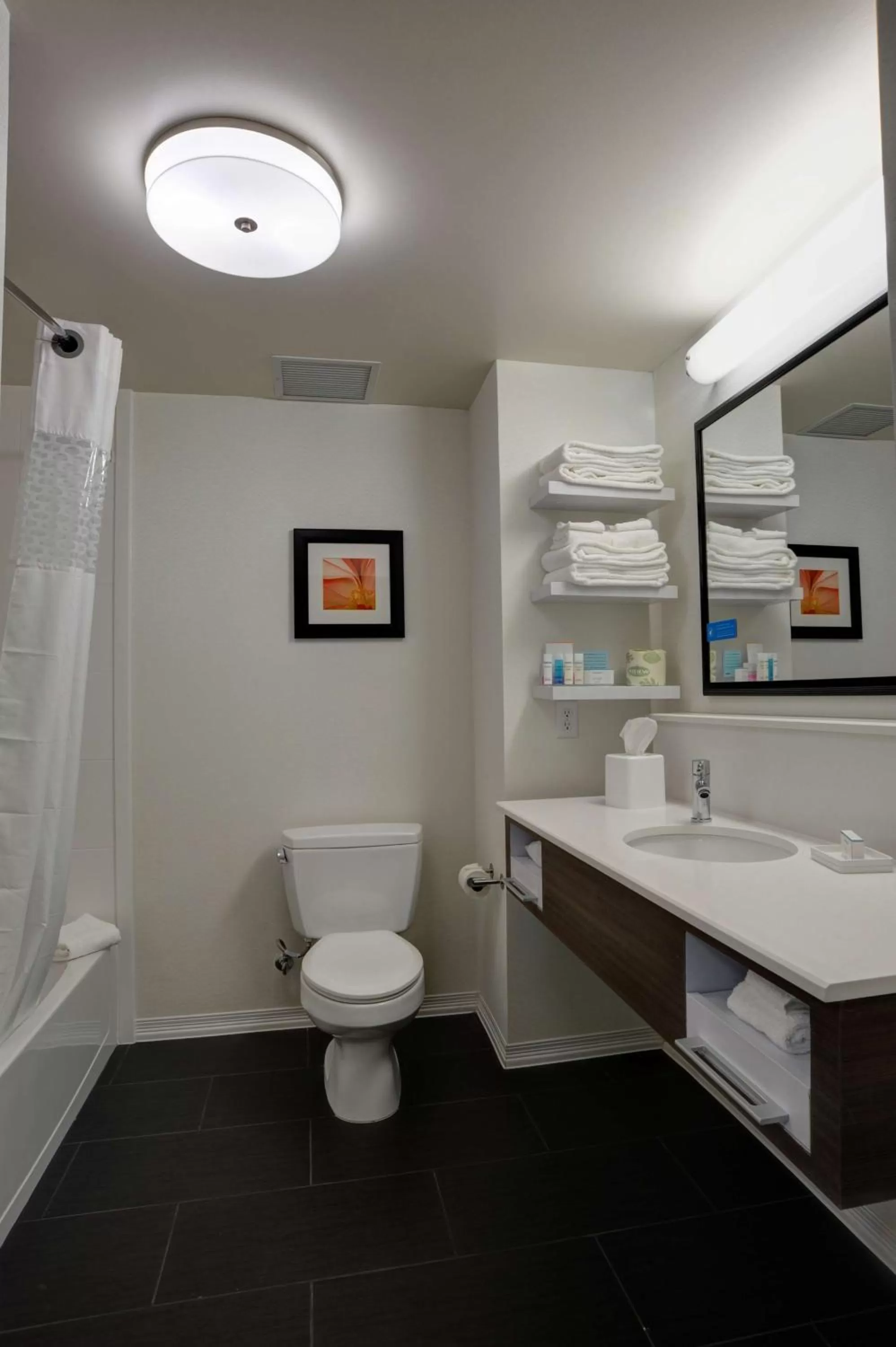 King Room with Accessible Tub - Mobility and Hearing Access/Non-Smoking in Hampton Inn & Suites Ardmore