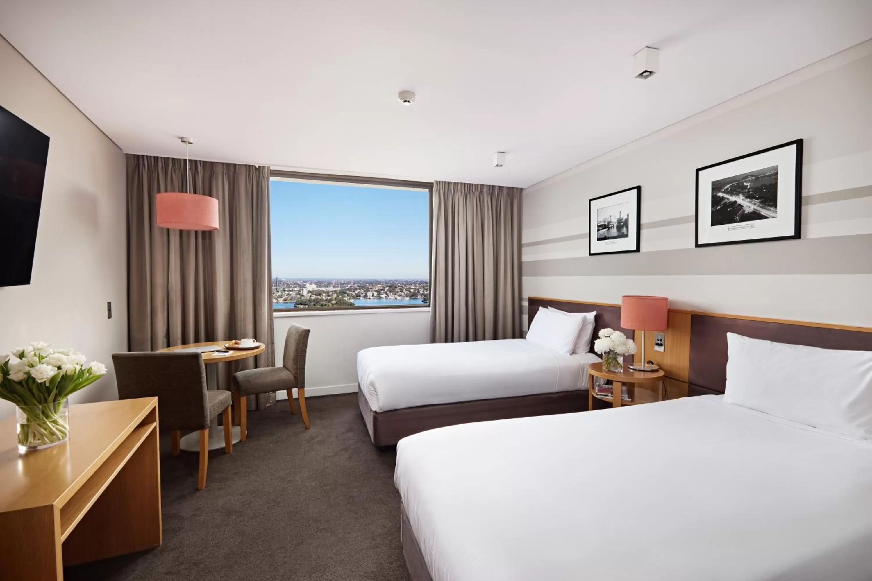 Skyline Twin Room in View Sydney