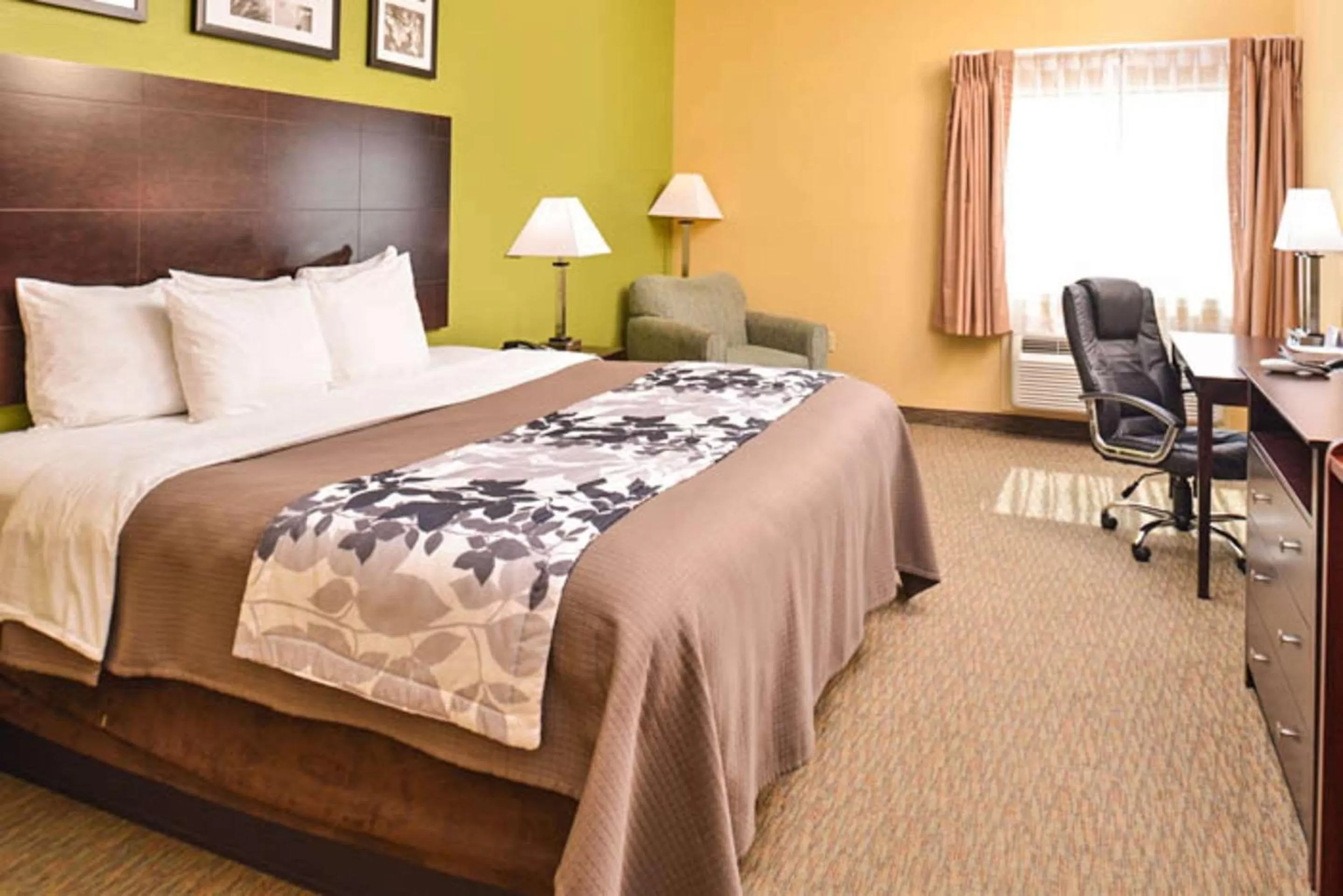 King Room - Accessible/Non-Smoking in Sleep Inn and Suites Downtown Houston