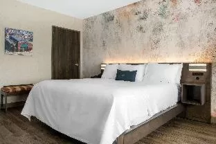 One-Bedroom King Suite - Non-Smoking in Wyndham Westfield