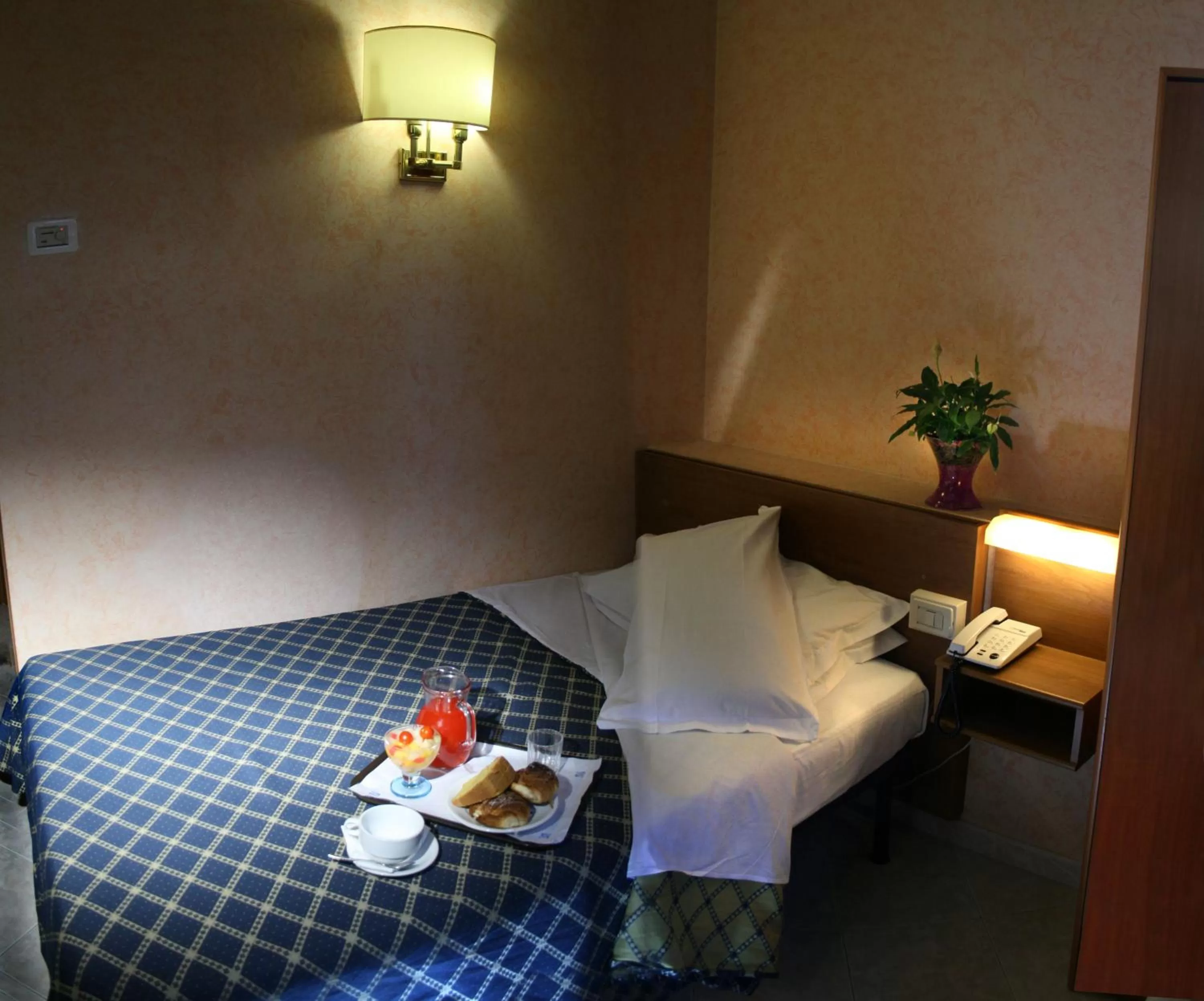 Single Room in Hotel Delle Muse
